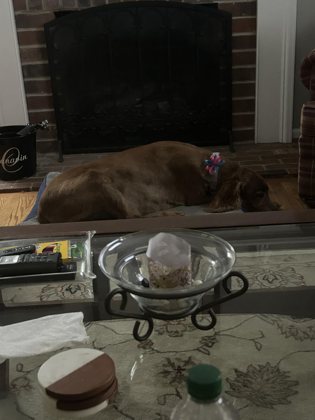 Bedsure Washable Dog Beds Large Sized Dog with Comfy Sherpa, 36x27in Grey | Orthopedic Egg Crate Foam,Comfort Support Flat Rectangle Pet Mat,Non-Slip Bottom,Removable Cover,For Large Breed Up to 55 lbs customer photo 1
