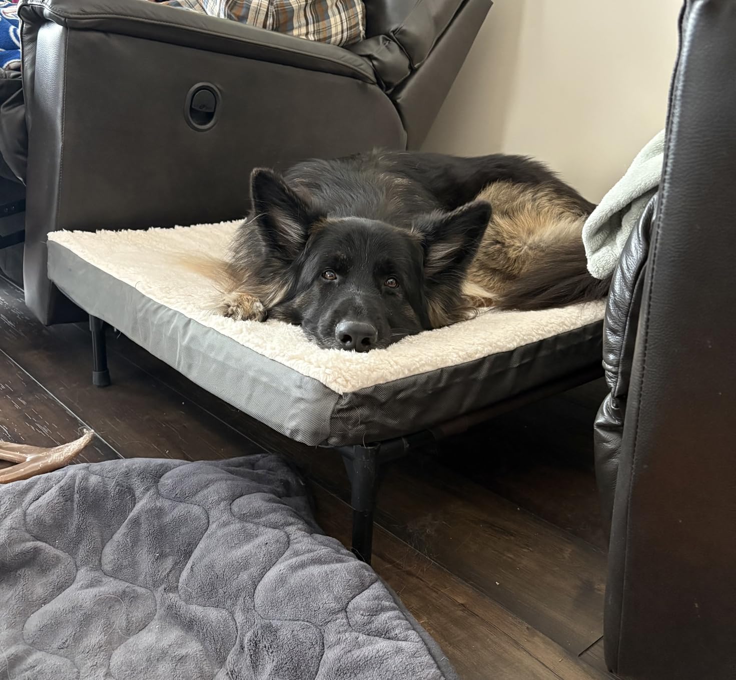 Bedsure Washable Dog Beds Large Sized Dog with Comfy Sherpa, 36x27in Grey | Orthopedic Egg Crate Foam,Comfort Support Flat Rectangle Pet Mat,Non-Slip Bottom,Removable Cover,For Large Breed Up to 55 lbs customer photo 2