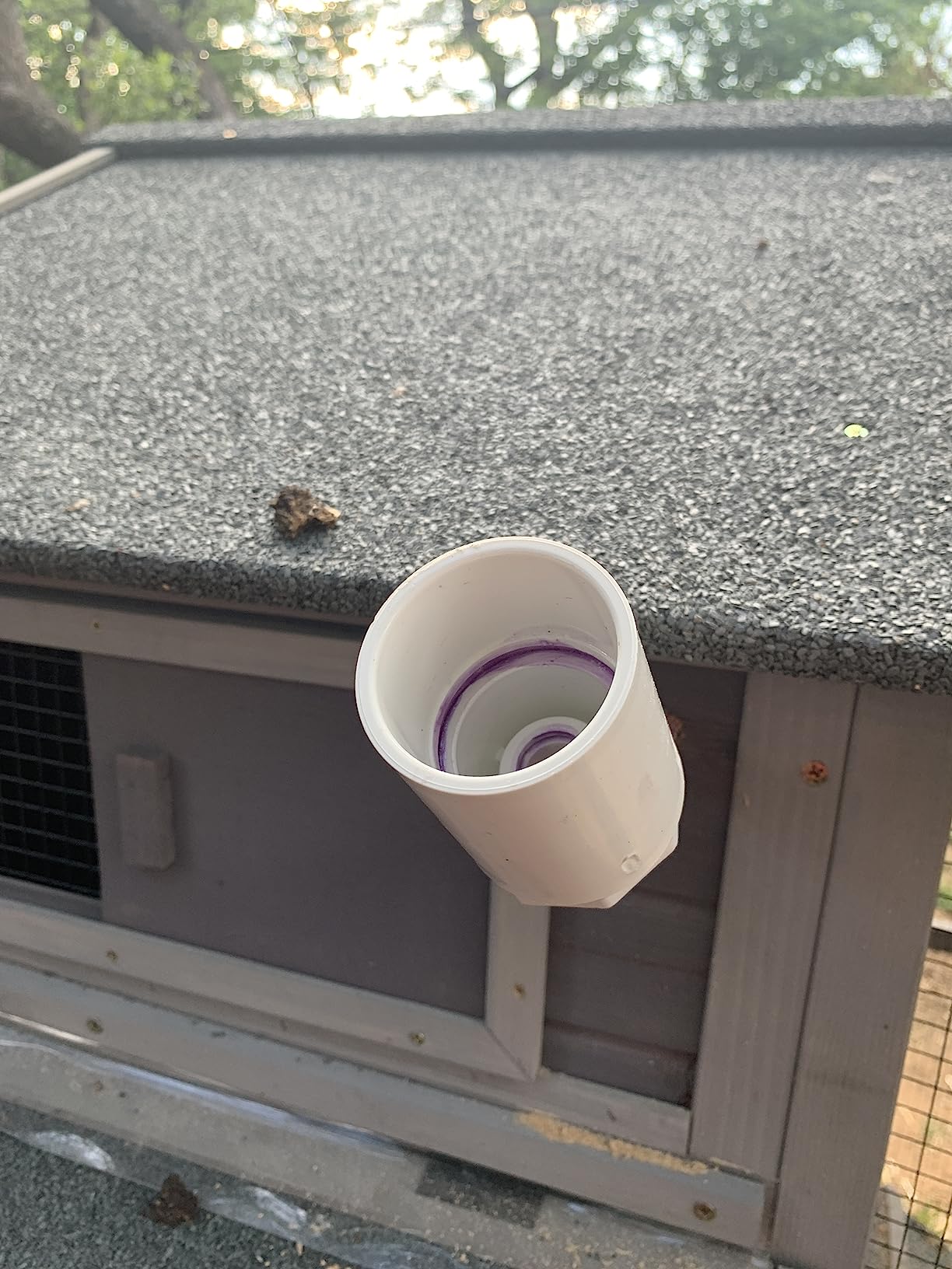 RentACoop 1 Gallon Chicken Waterer with Cups & Nipples customer photo 2