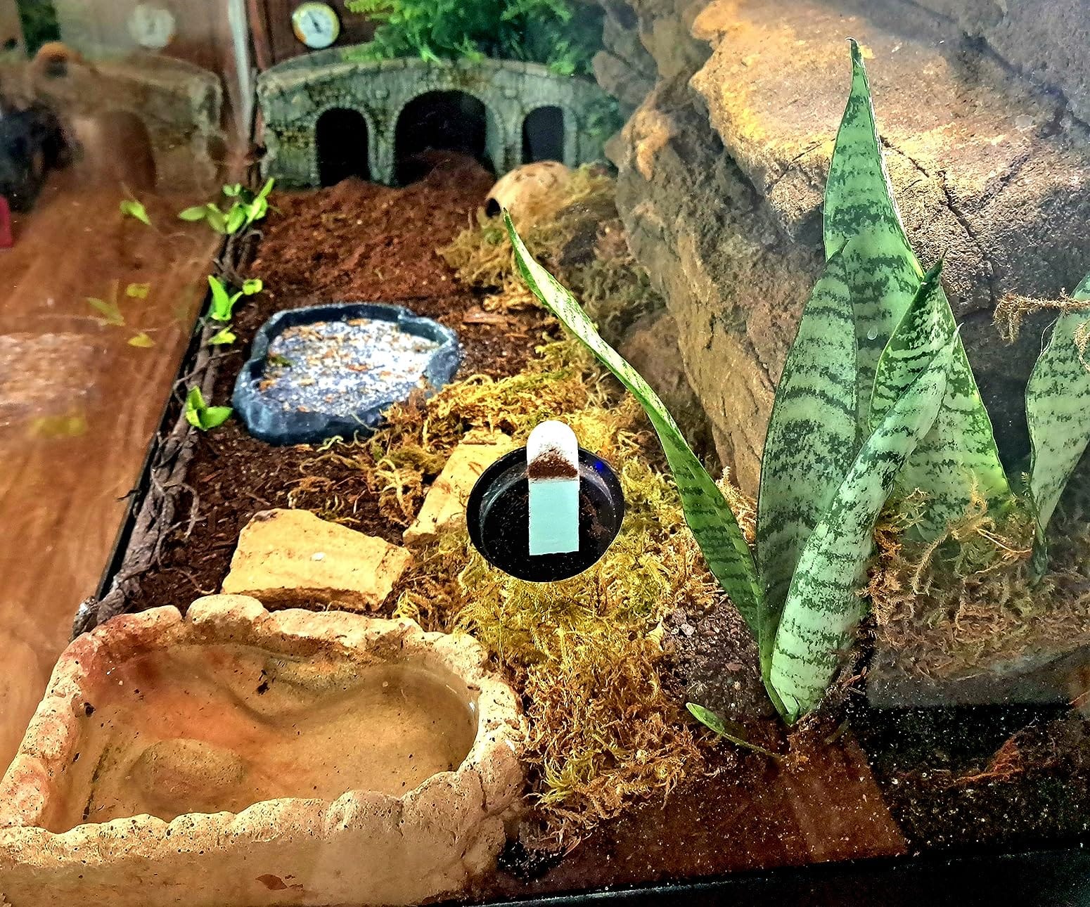 Tikaton Reptile Heat Pad - Adjustable Temperature Under Tank Heater for 10-20gal/30-40gal Tank, Terrarium Heat Mat for Turtle/Snake/Lizard/Frog/Spider/Plant Box customer photo 2