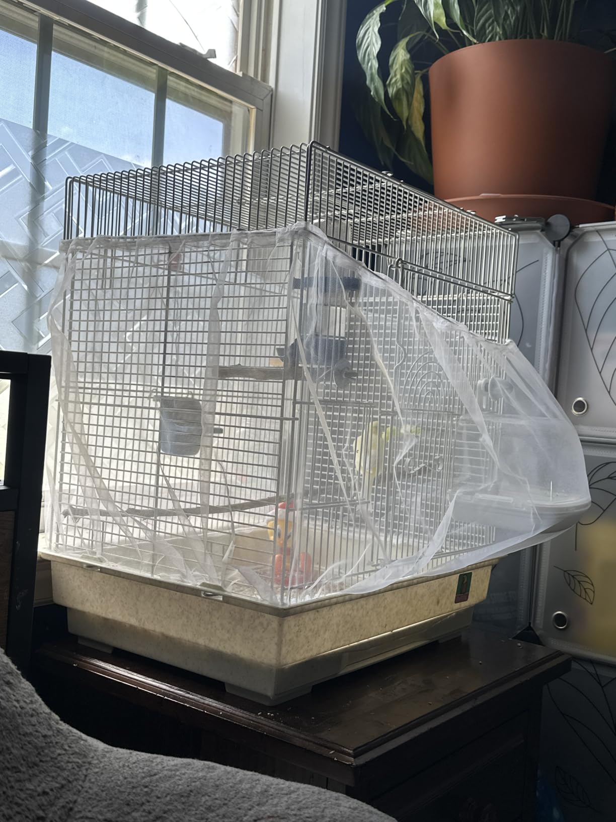 ASOCEA Bird Cage Seed Catcher,Universal Bird Cage Cover Skirt | Adjustable Parakeet Cage Nylon Mesh Netting for Round Square Cages Prevent Scatter and Mess- Black 78.7In (Cage Not Included) customer photo 2
