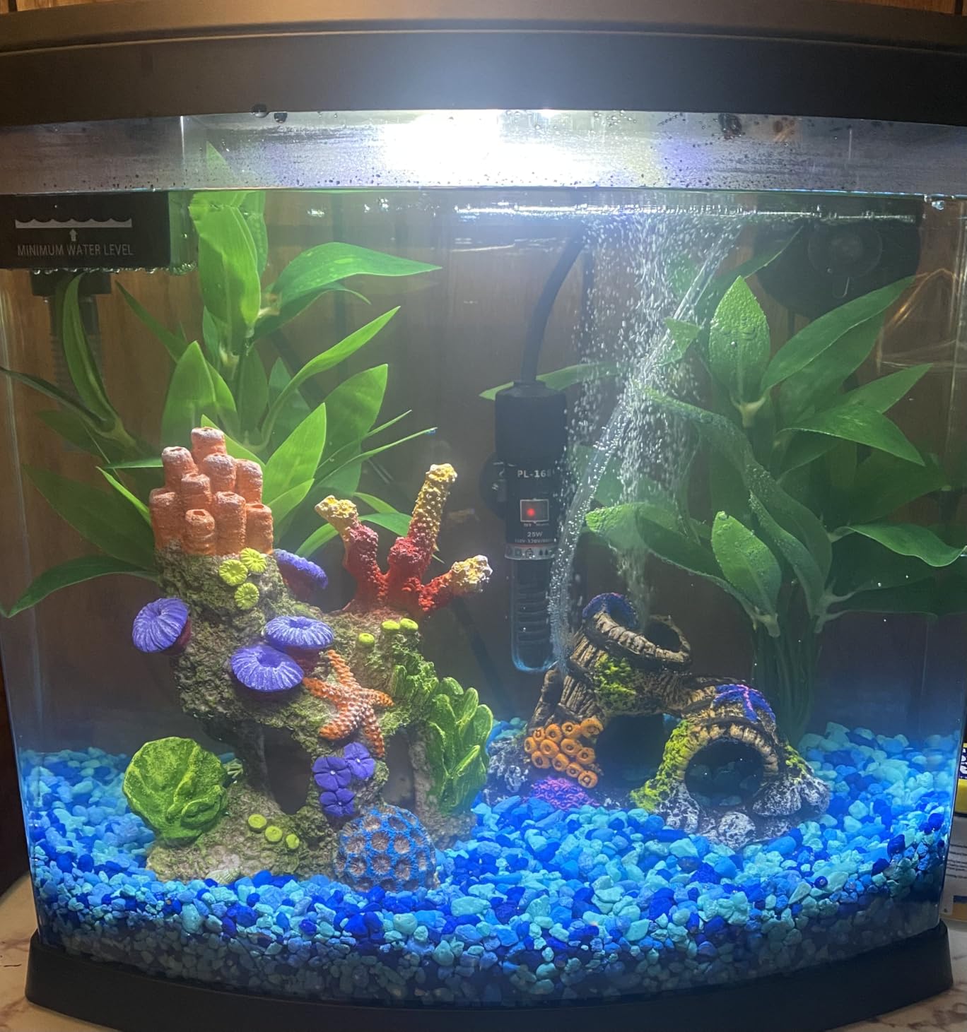 25Watt Mini Aquarium Submersible Betta Heater with Free Thermometer Strip for 1-6 Gallon Fish Tanks (Preset Temperature 78℉) customer photo 2