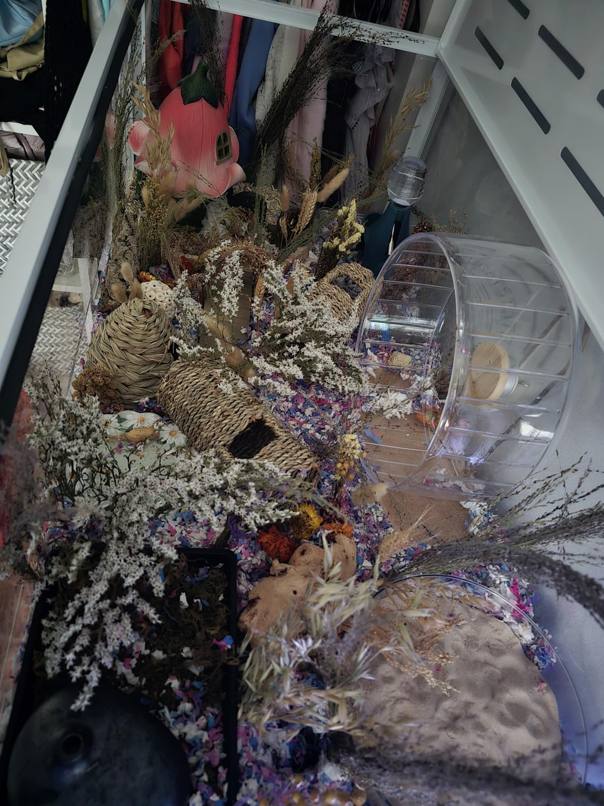 Niteangel Creative & Composable Hamster Tunnel: Edible Seagrass & DIY Tube customer photo 1