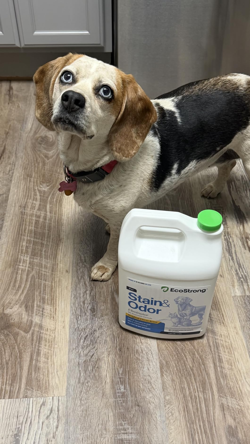 Eco Strong Pet Stain and Odor Remover - Cat Urine Enzyme Cleaner Destroyer, Urine Destroyer for Dogs, Pet Urine Enzyme Cleaner - 128 Oz customer photo 2