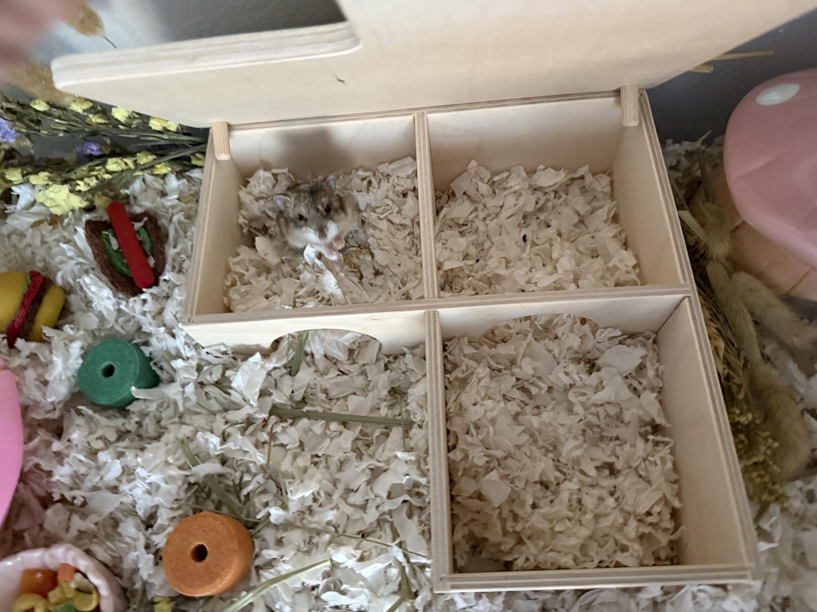 Niteangel Multi-Chamber Hamster House Maze: 2 Entrance 6 Rooms Maze Habitat | No-Disturb Removable Lid customer photo 1