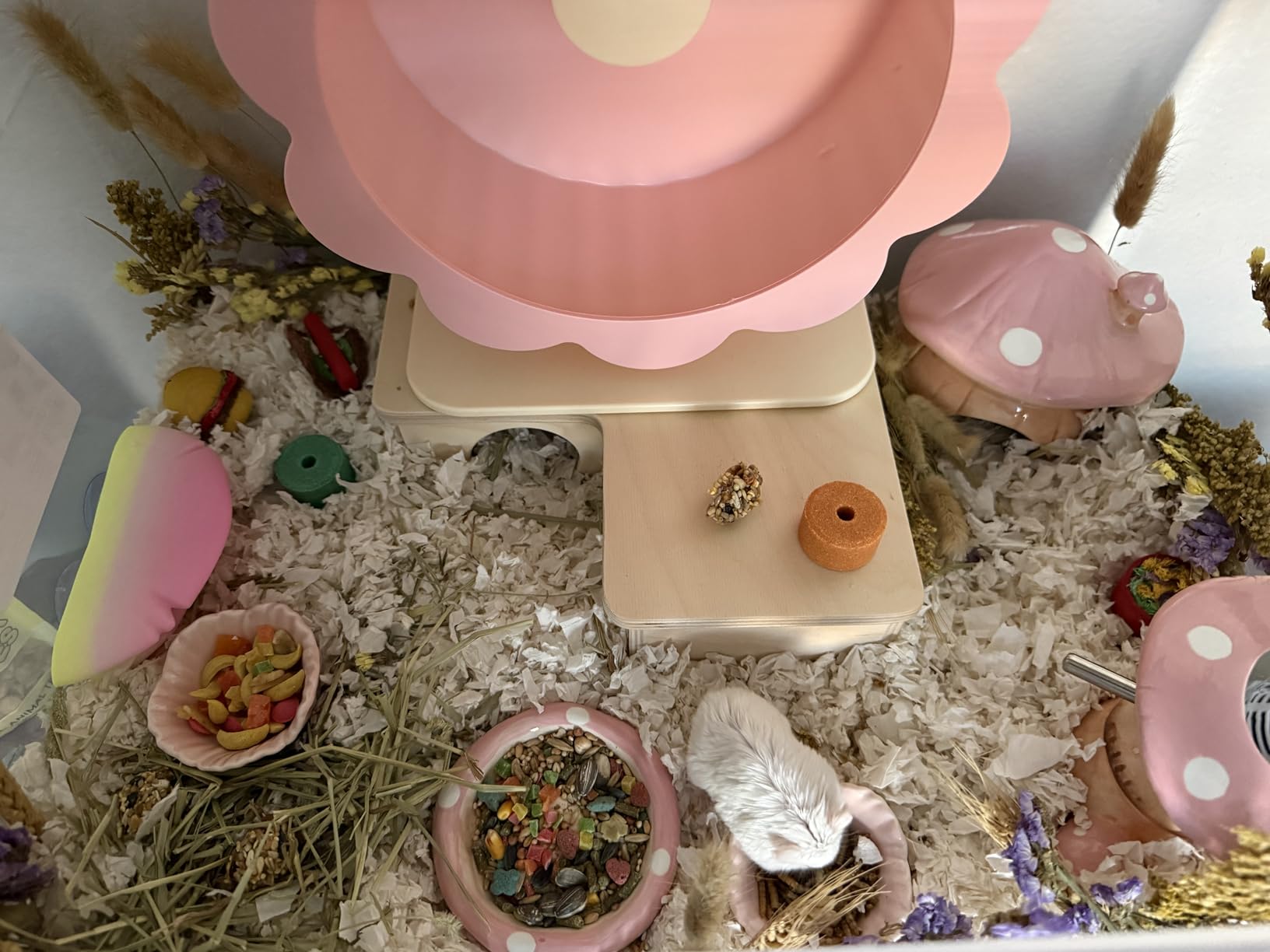 Niteangel Multi-Chamber Hamster House Maze: 2 Entrance 6 Rooms Maze Habitat | No-Disturb Removable Lid customer photo 2