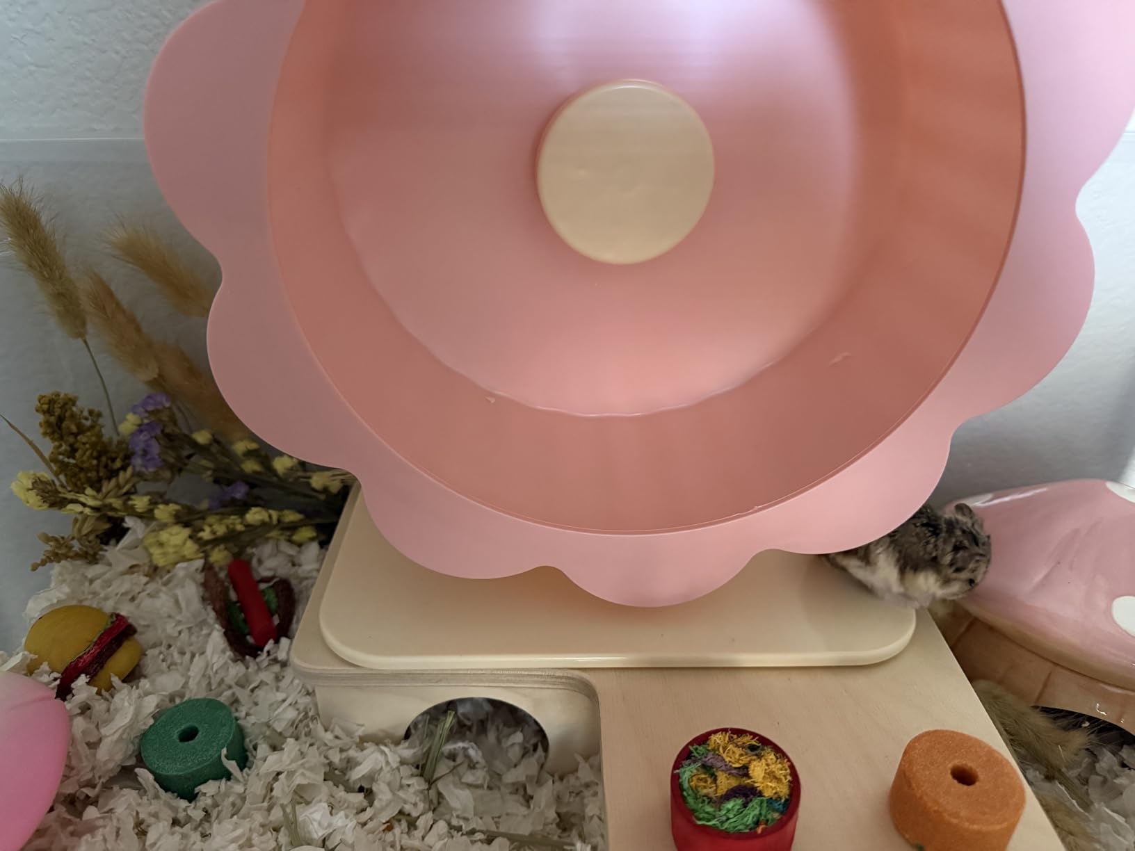 Niteangel Multi-Chamber Hamster House Maze: 1 Entrance 3 Rooms Maze Habitat | No-Disturb Removable Lid customer photo 2