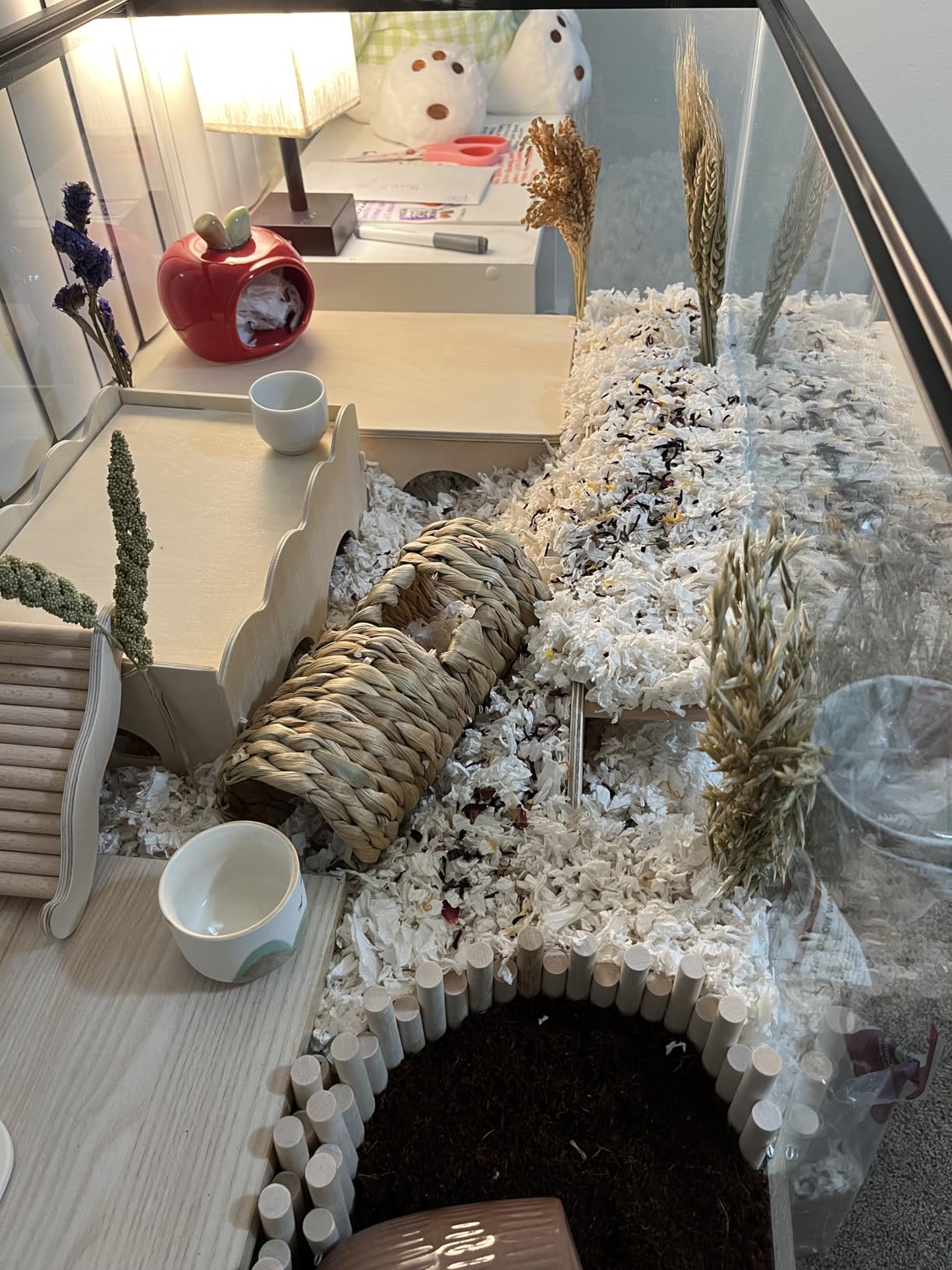 Niteangel Birch Chamber-Maze Hamster Hideout: 1 Entrance 2 Rooms customer photo 2