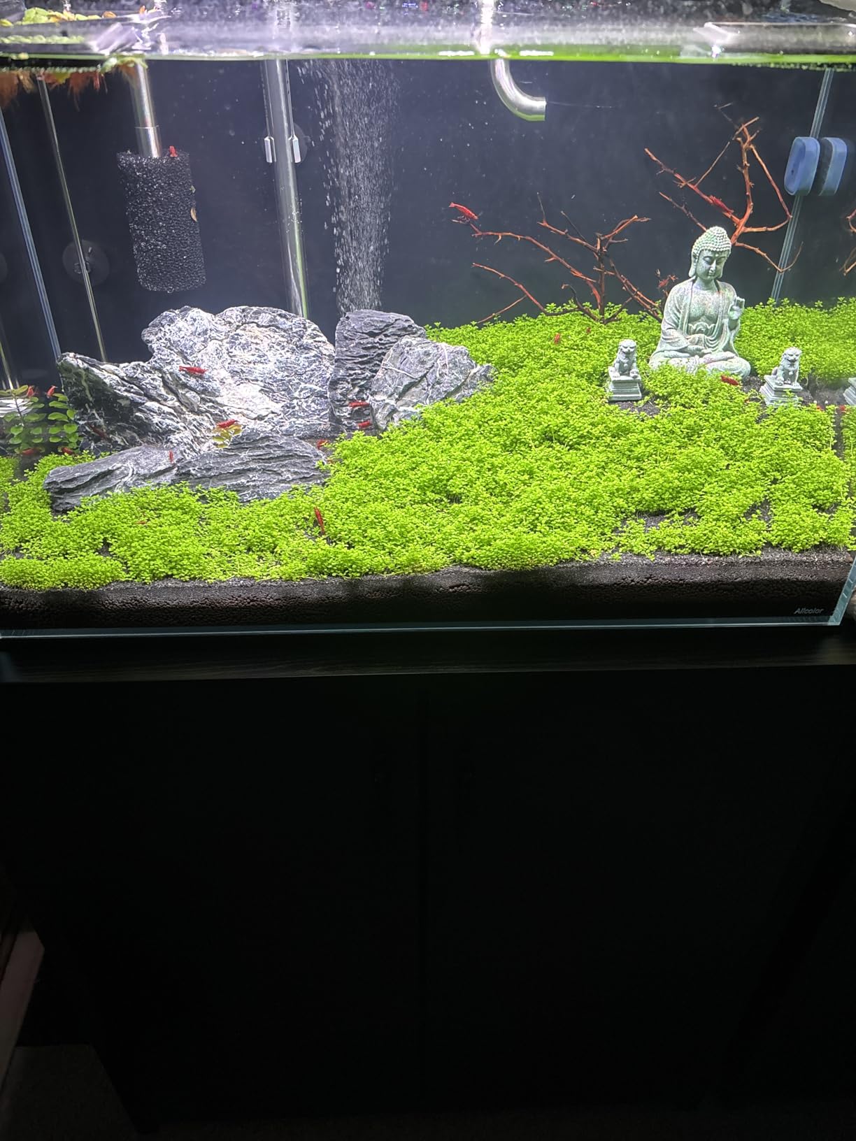 ADA Aqua Soil Amazonia Ver 2 (9L) customer photo 1