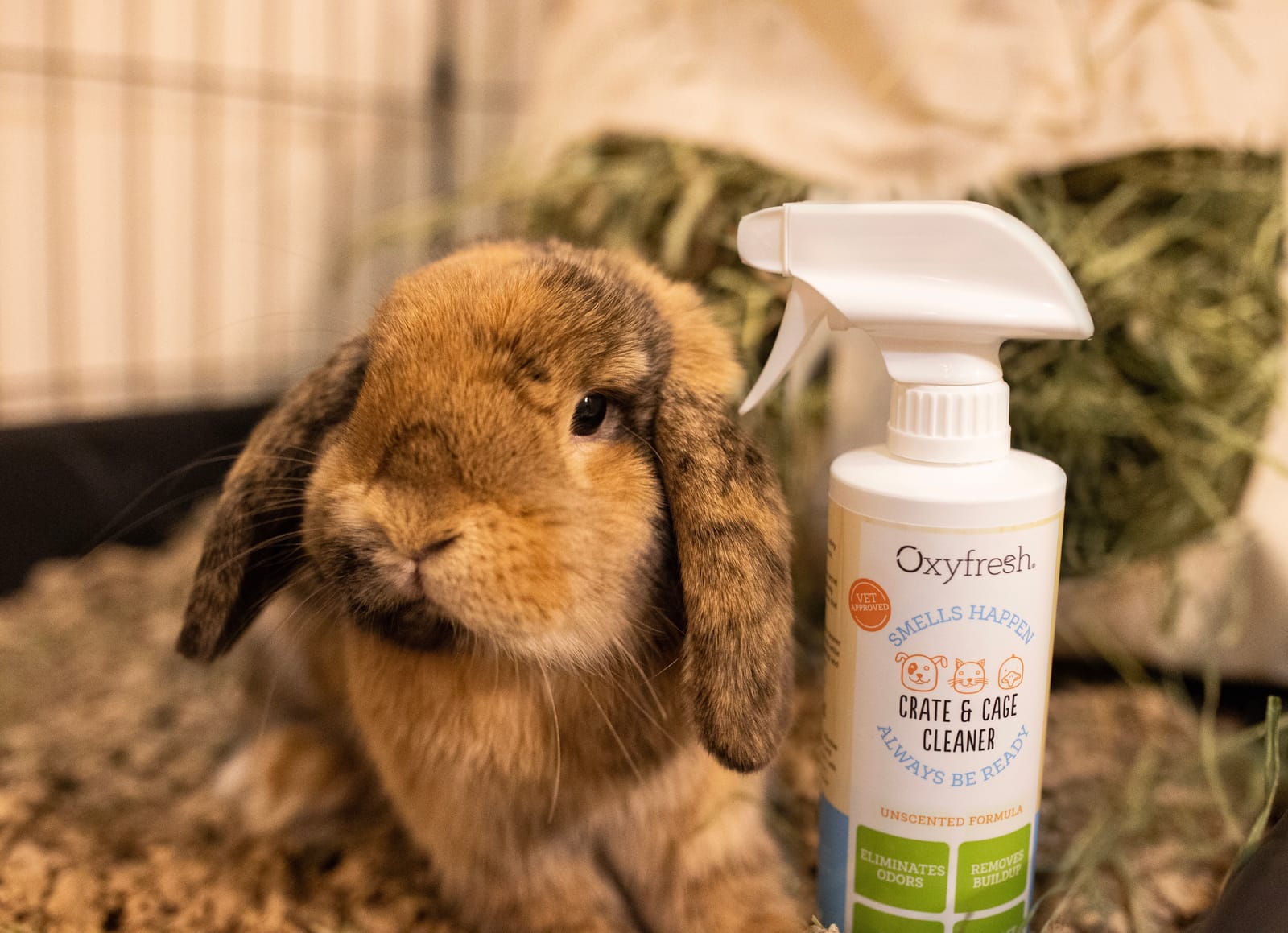 Oxyfresh Premium Crate & Cage Cleaner - Safe, Bleach Free & Works Instantly | Professional Dog Crate & Small Animal & Bird Cage Odor Eliminator customer photo 2