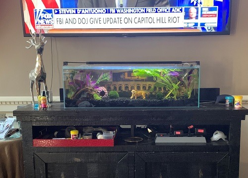 Low Iron Ultra Clear Crystal Bookshelf Aquarium with Foam Leveling Mat - Rimless Aquariums with 45-Degree Beveled Edge, Peninsula Style - for Fish and Corals - 11 Gallon Capacity customer photo 2