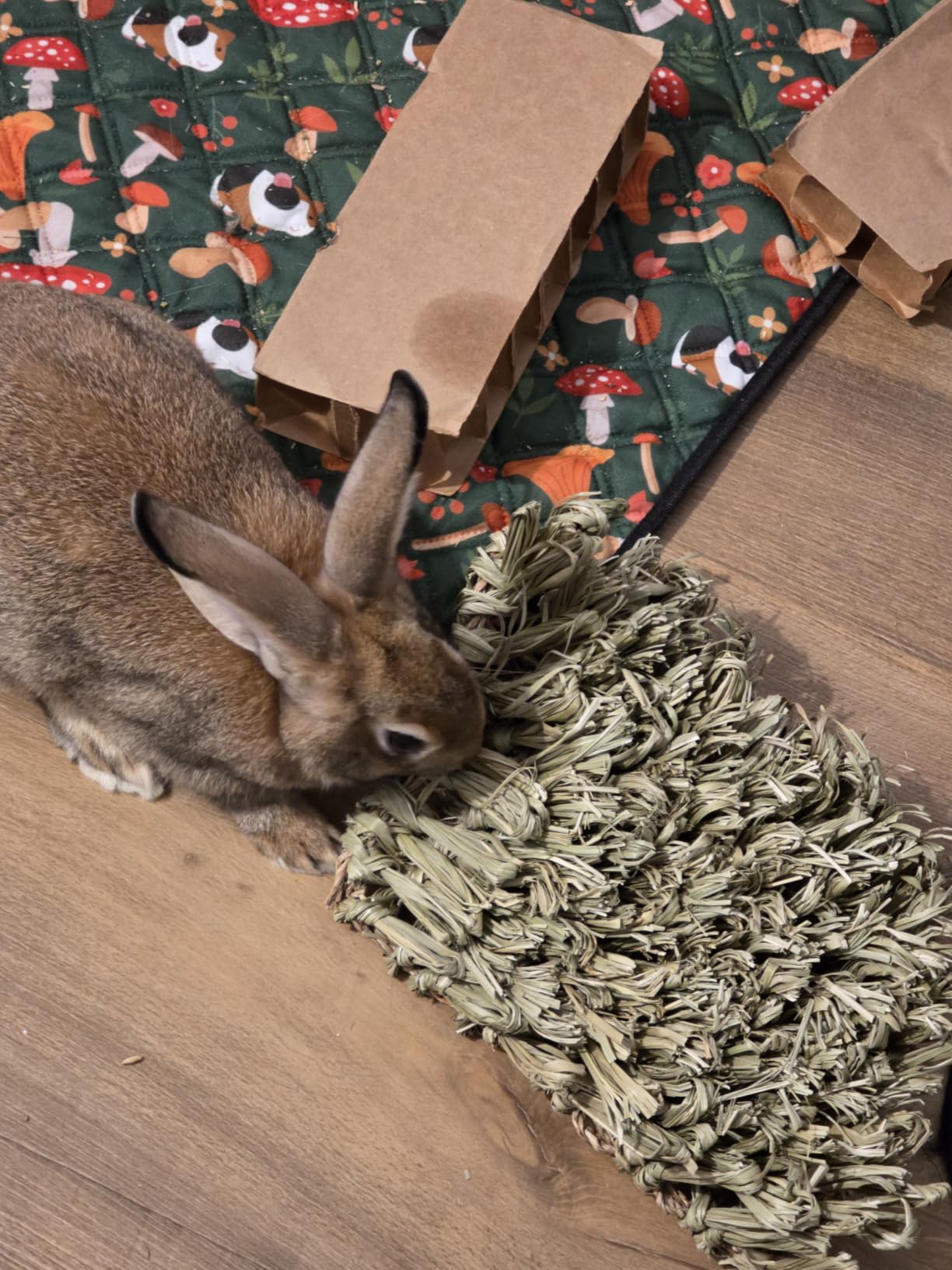 Oxbow Timothy Hay Hide & Seek Snuffle Mat, Rabbit & Guinea Pig Enrichment | Rabbit Puzzle Mat, Guinea Pig Puzzle Toy, Guinea Pig Enrichment Accessories, Bunny Treats Toys, Chinchillas, Rats, Ferrets customer photo 2