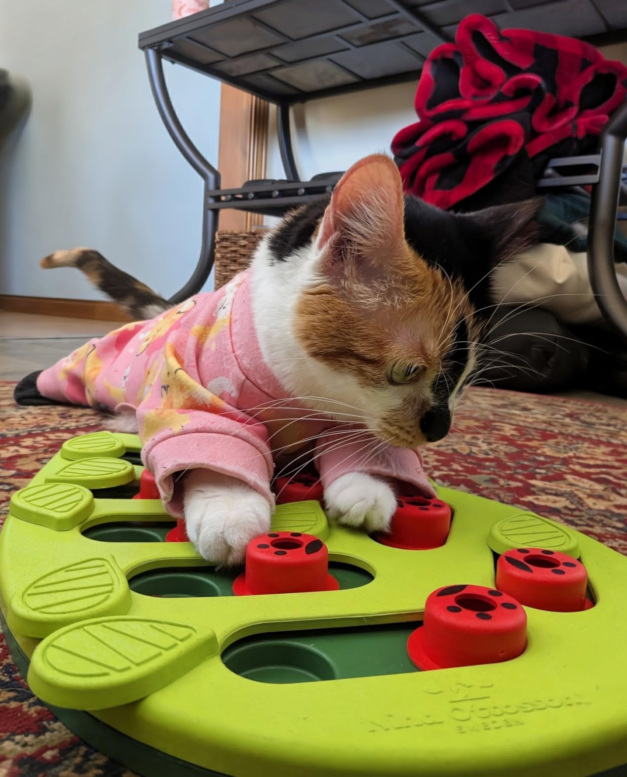 Catstages Nina Ottosson Buggin’ Out Puzzle & Play Cat Toy Treat Puzzle, 14