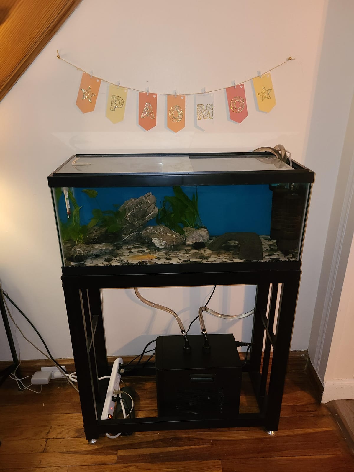 BAOSHISHAN 1/3 HP Aquarium Chiller 79 Gallons 300L Water Cooling System Set | Quiet Compressor Refrigeration for Indoor Hydroponics, Axolotls and Coral Reef Tanks, Precise Water Climate Control Solutions customer photo 2