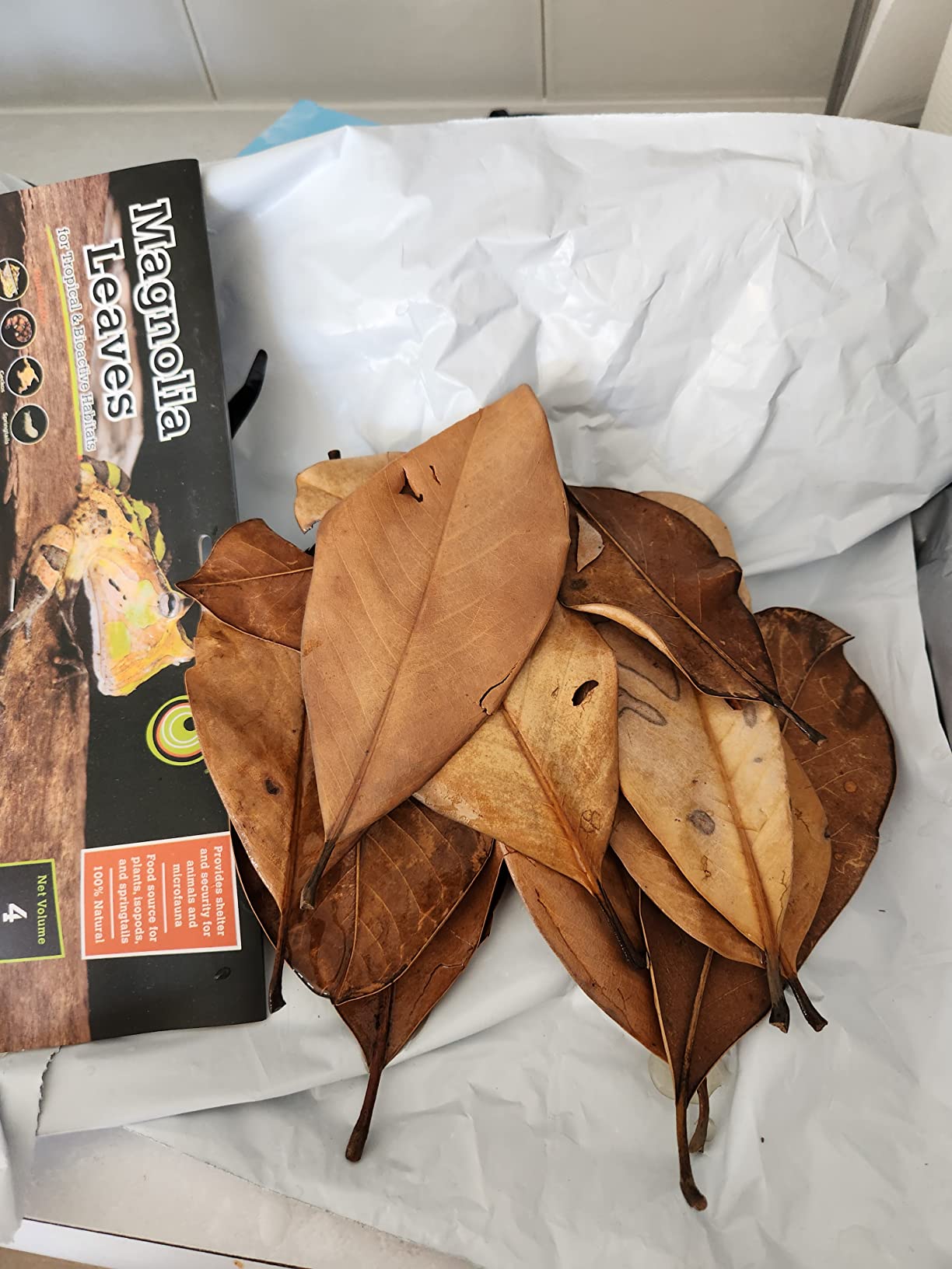 Galapagos (05150) Natural Magnolia Leaf Litter - Reptile Substrate for Bioactive Vivariums, Bearded Dragon, Gecko, and Snake Tank Accessories, 100% Natural Terrarium Decor, 4Qt customer photo 1