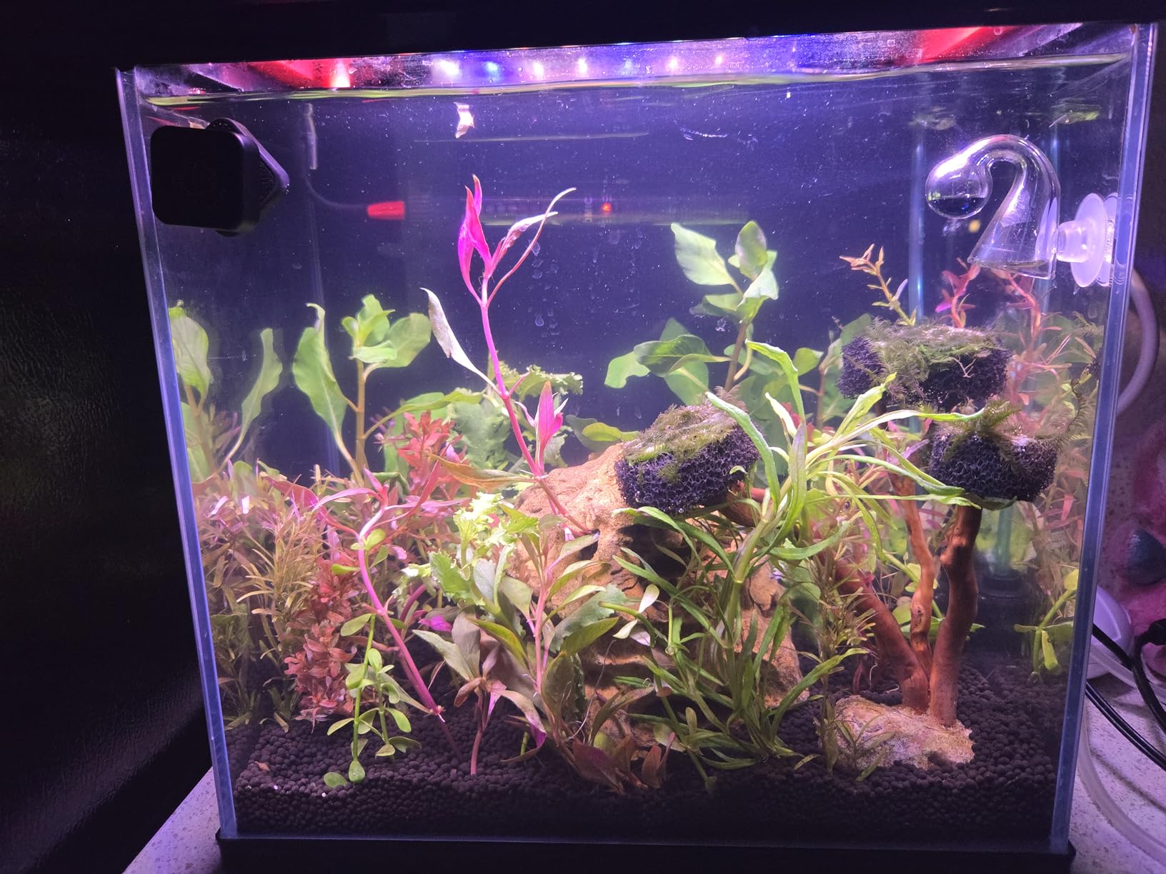 Rhinox Glass Drop Checker Kit with pre-Mixed 4dKH & pH Reagent, 3-Minutes' Setup, 3 Seconds to Read Result, Color Change Reflects CO2 Level customer photo 2