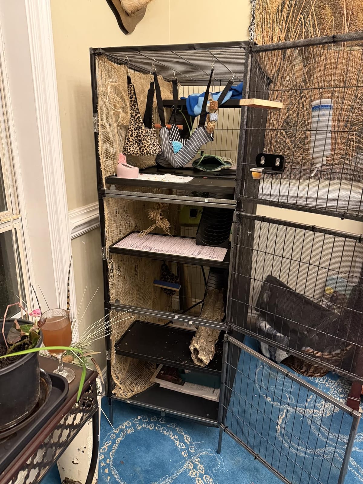 PawHut Metal Small Animal Cage, 4-Tiers Rolling Big Ferret Cage with Hammock, Removable Tray, for Chinchilla, Sugar Glider, Gray customer photo 1