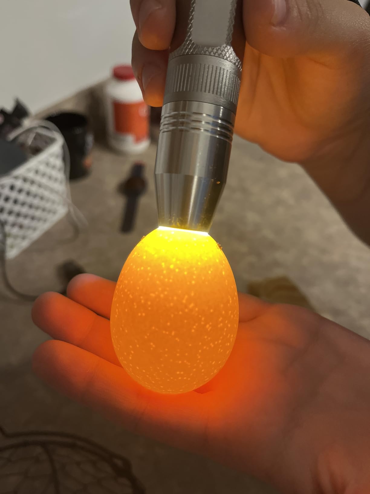 Egg Candler Light Tester Egg Candler Tester Candling Lamp for All Egg Type customer photo 1