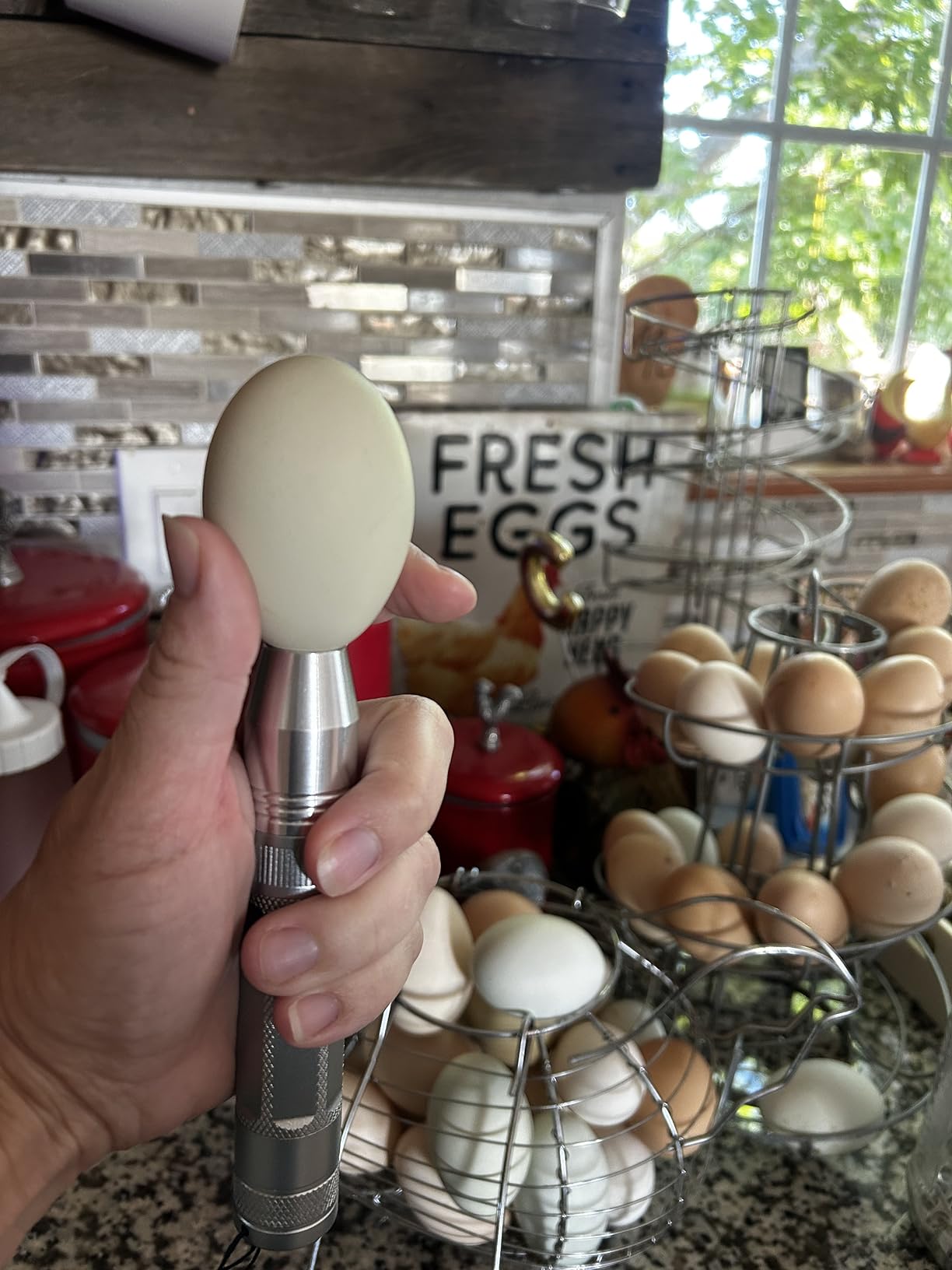 Egg Candler Light Tester Egg Candler Tester Candling Lamp for All Egg Type customer photo 2