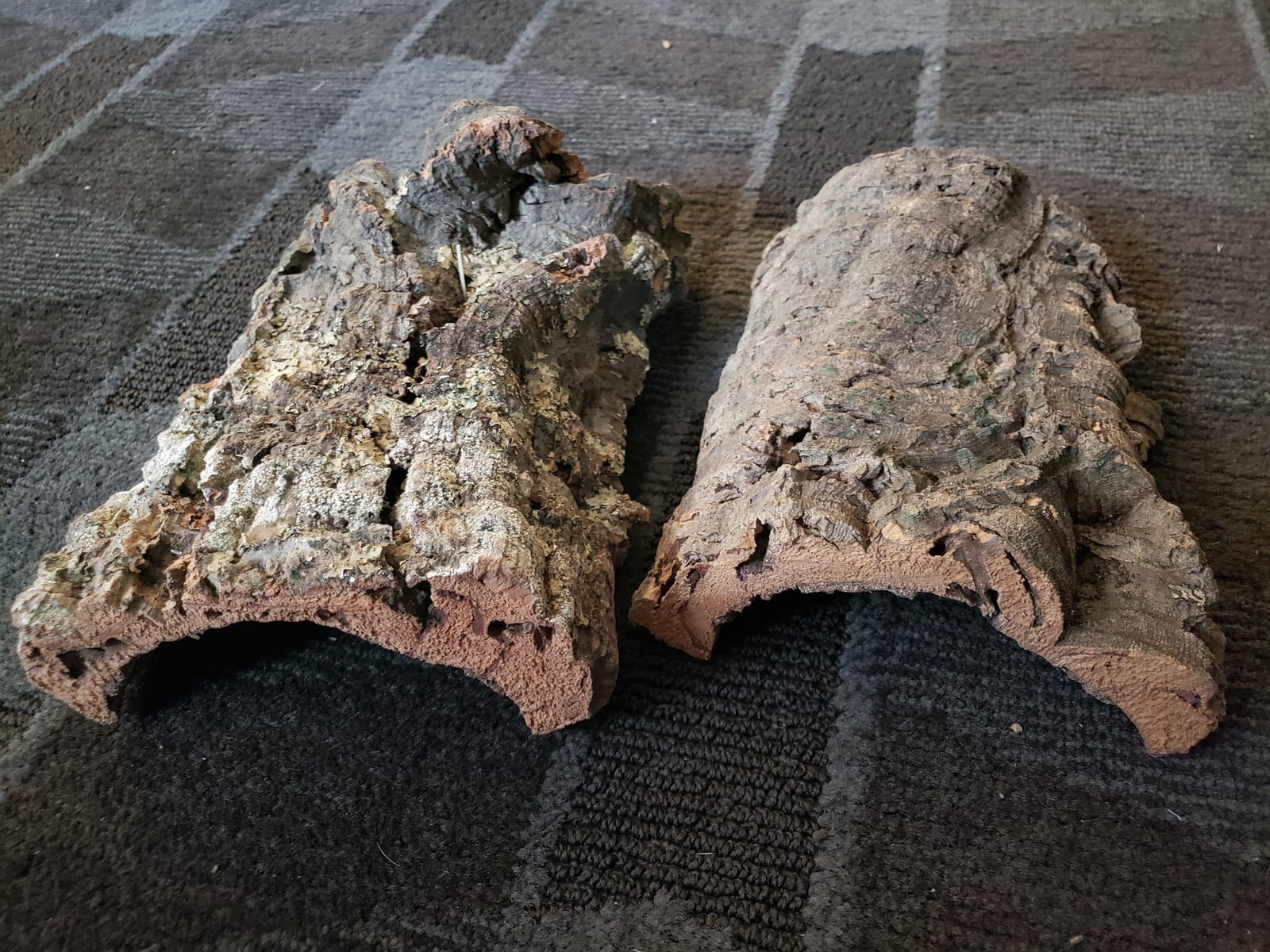 Cork Bark - 1lb (Assorted) - for Orchids, Airplants, Reptiles, and Terrariums customer photo 1