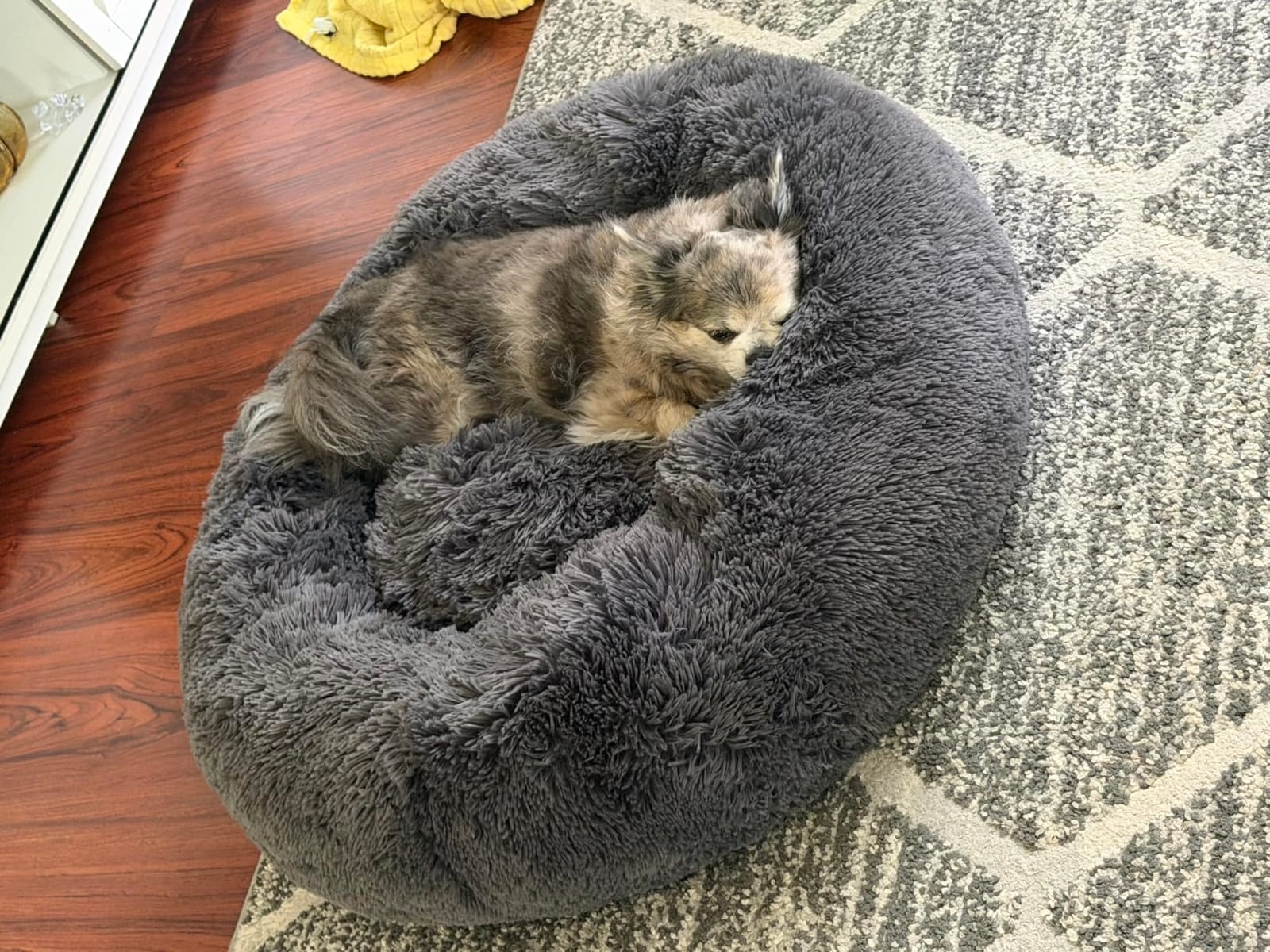 Bedsure Calming Dog Bed Medium Size Dog Donut Washable Pet Bed,30ins Camel | Oprah Daily Sleep Award,Fluffy Faux Fur Round Cuddler,Anti-Slip Bottom,Anti-Anxiety,Deep Sleep for Pets Up to 45 Lbs customer photo 1