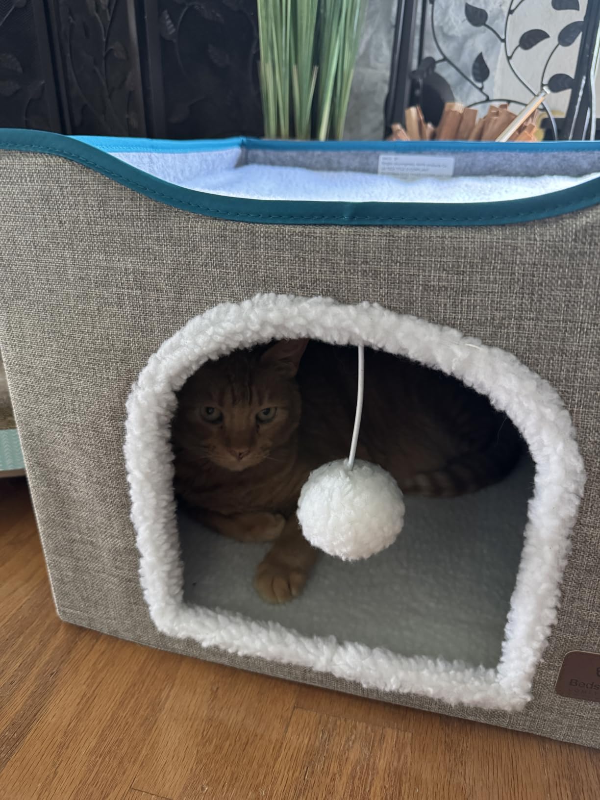 Bedsure Cat House Bed for Indoor Cats with Fluffy Ball and Scratch Pad,Grey customer photo 1