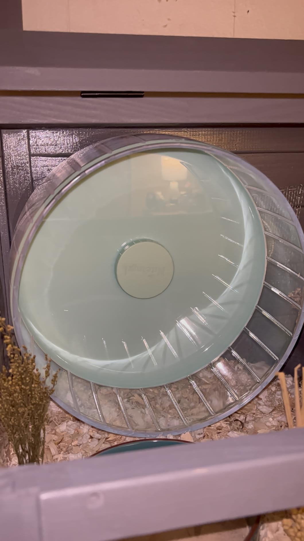 Niteangel Super-Silent Hamster Exercise Wheel: Quiet 8.2 inch Running Wheel | Can 9.1-11.8