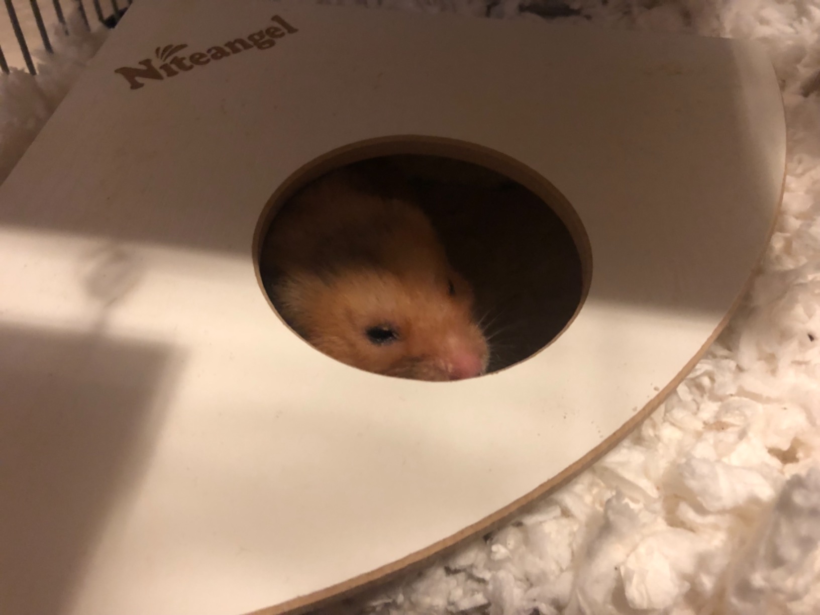 Niteangel Animal Sand-Bath Box - Acrylic Critter's Sand Bath Shower Room & Digging Sand Container for Hamsters Mice Lemming Gerbils or Other Small Pets (Rectangle, Burlywood) customer photo 1