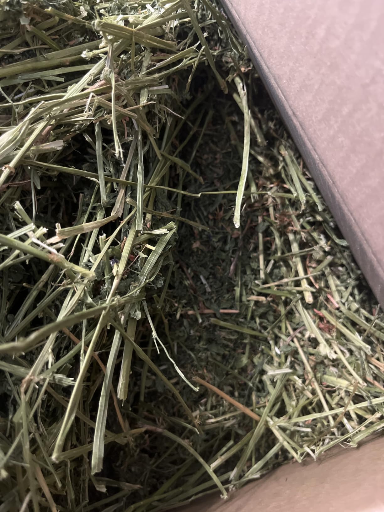 High Desert Alfalfa Hay, Protein Rich Soft Leaf Food for Young Growing Animals, 5 Lb Box customer photo 2