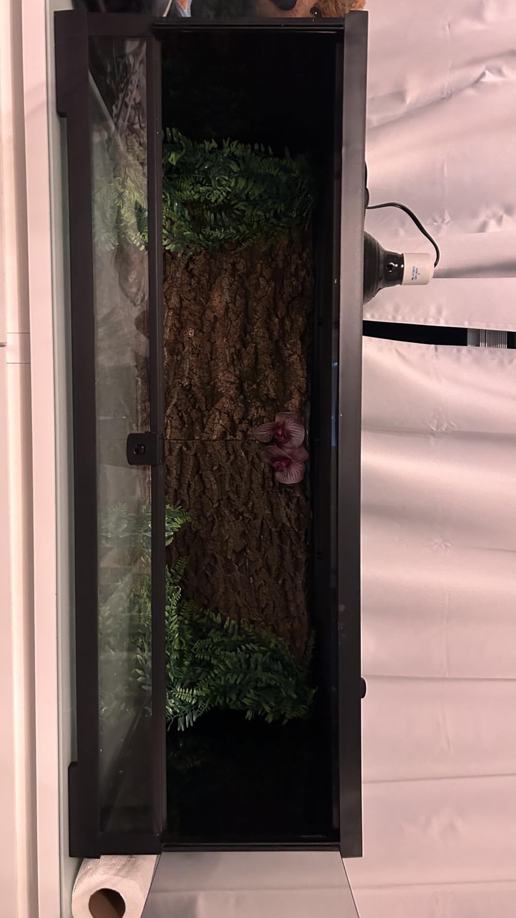 Hamiledyi 2PCS Cork Terrarium Background 15.7 x 11.8in Natural Cork Large Bark Backdrop Reptile Climbing Mat Habitat Decor Accessories for Beared Dragon Lizard Gecko Spider Chameleon Tortoise customer photo 2