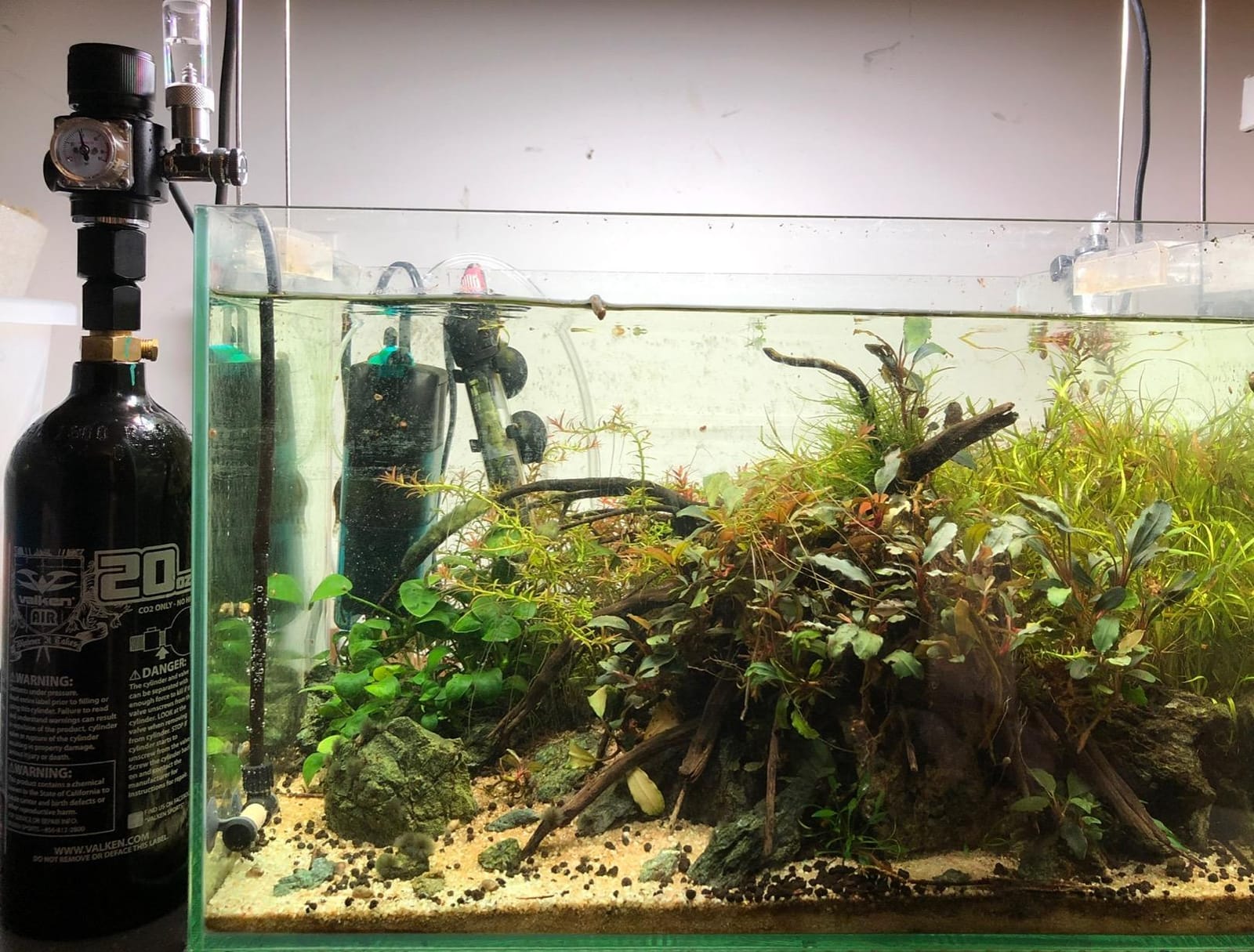 FZONE Aquarium CO2 Regulator Mini Series V3.0 Dual Stage with DC Solenoid and Bubble Counter Check Valve Compatible Paintball Tank CGA320 CO2 Cylinder customer photo 1