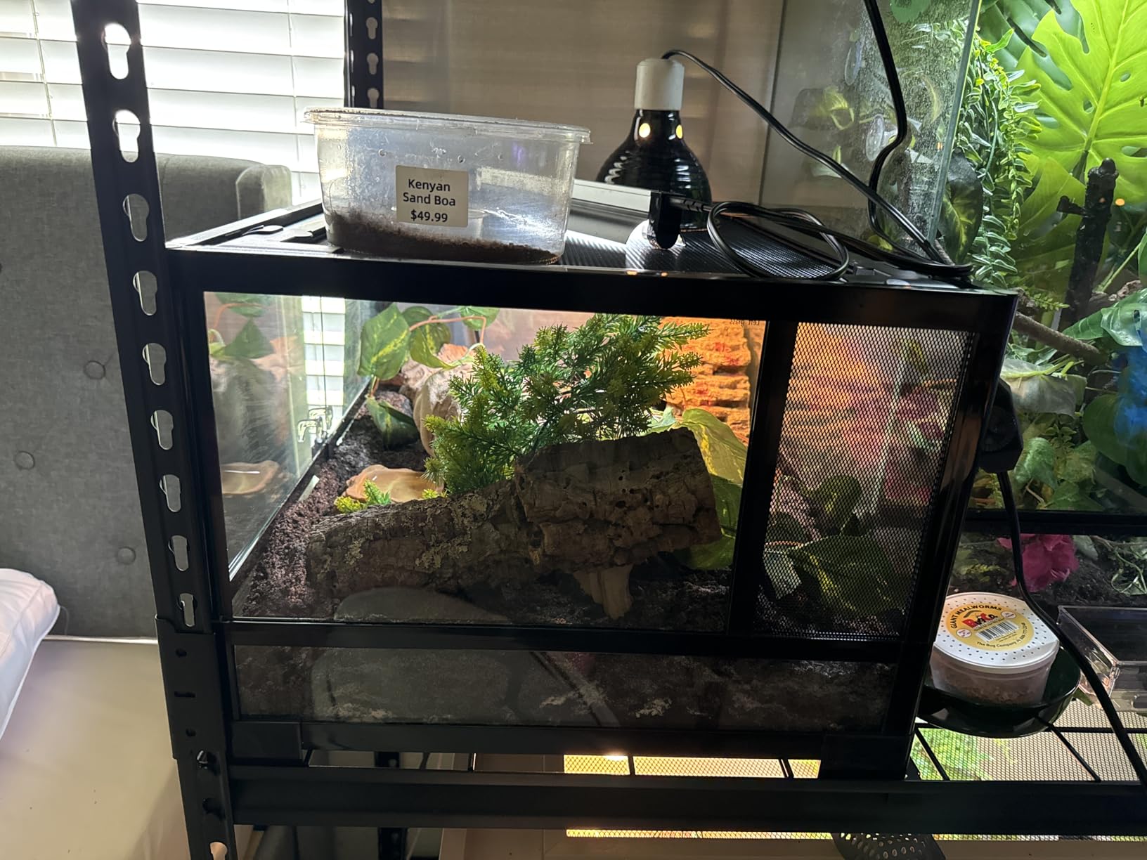 REPTI ZOO Full Glass 20 Gallon Reptile Tank, Front Opening Reptile Terrarium 24