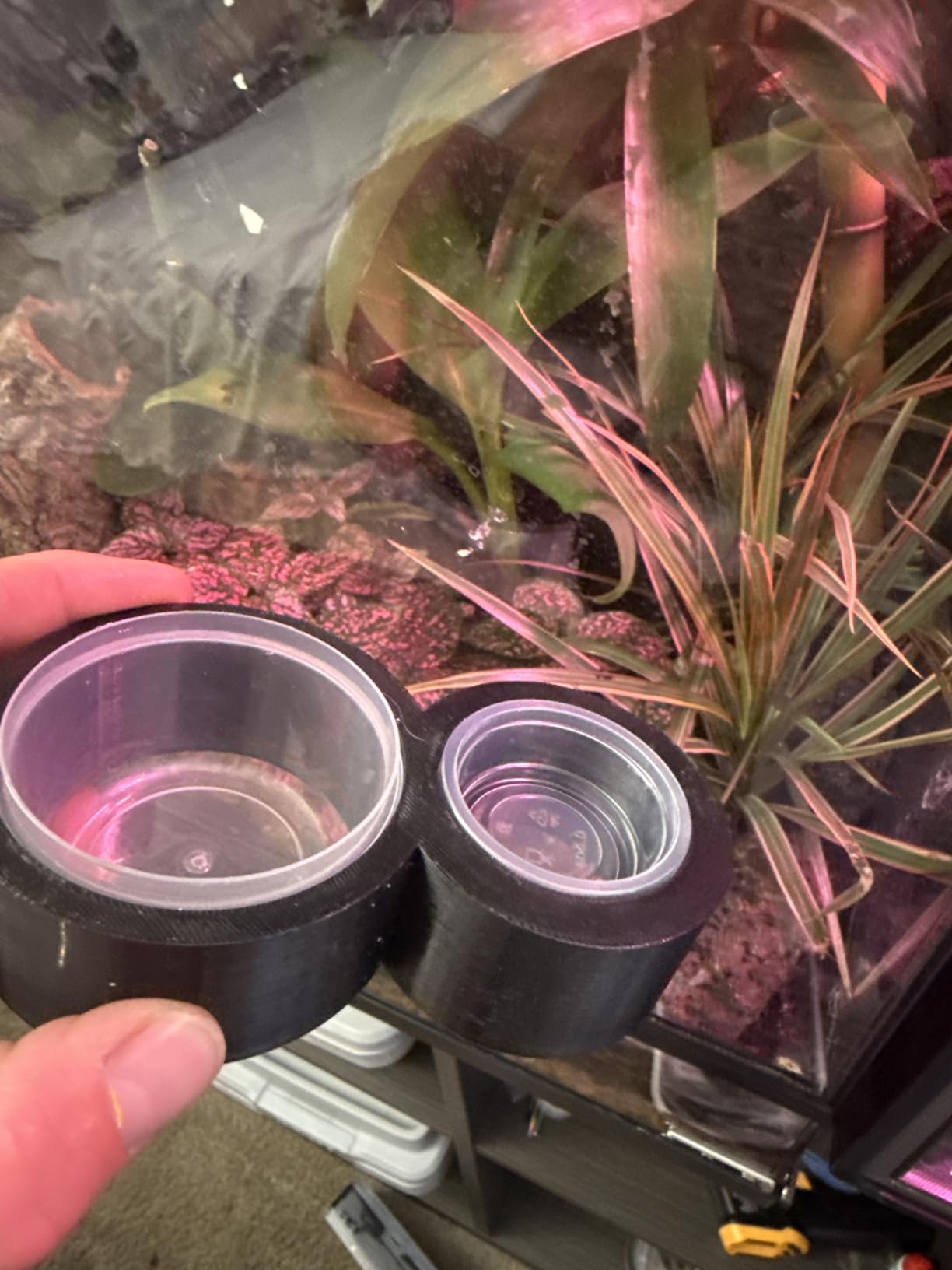 Lizard Crested Gecko Food Water Feeding Cups, 100 pcs, 0.5oz | Reptile Feeder Bowls, for Lizard and Other Small Pet Ledge Accessories Supplies customer photo 1