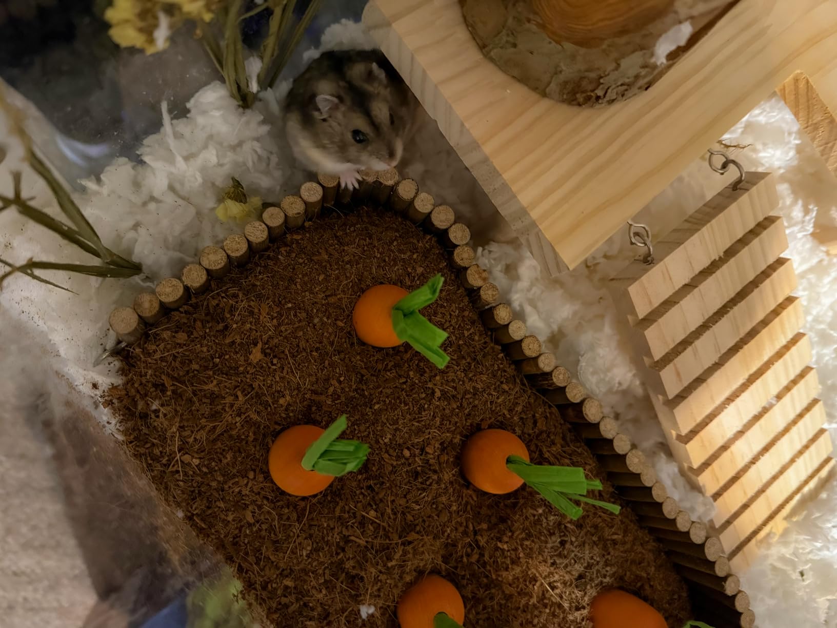 Niteangel Natural Coco/Cork Hamster Bedding: 4L | Encourages Digging & Burrowing Instinct customer photo 1
