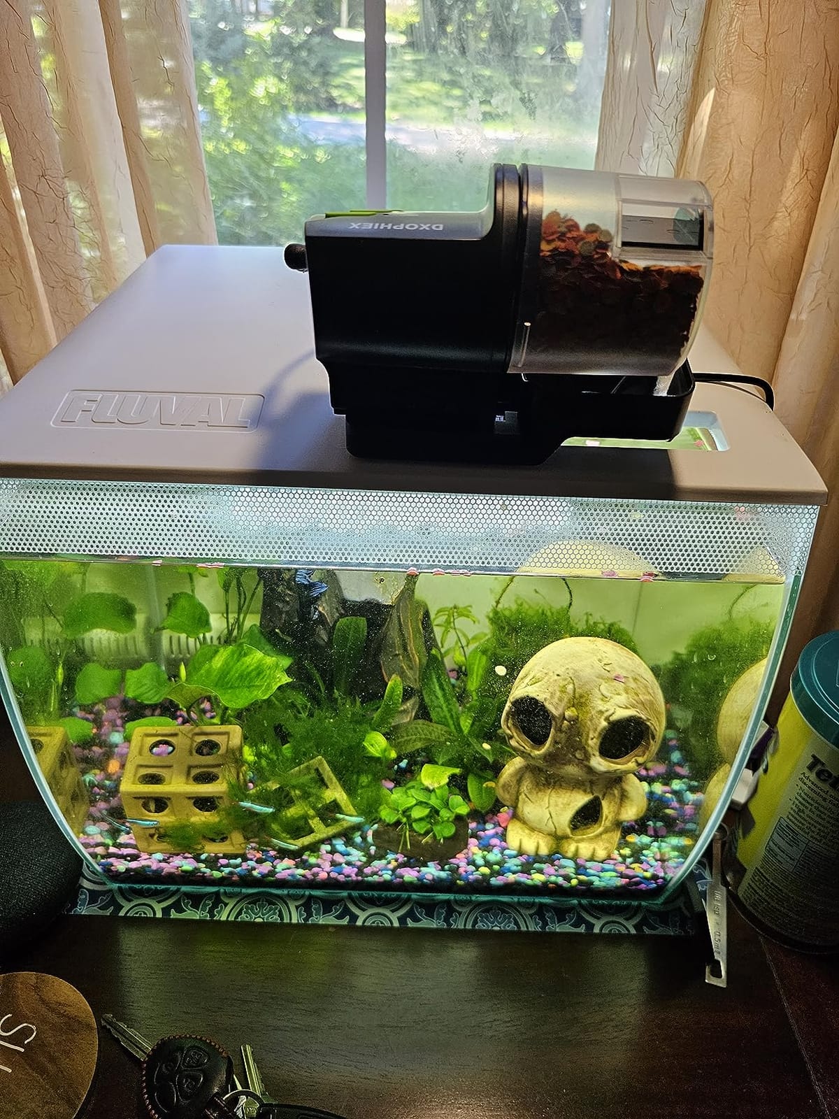 DXOPHIEX Automatic Fish Feeder Food Dispenser Vacation Fish Feeder Powered by Battery and USB for Aquarium and Turtle Tank customer photo 2