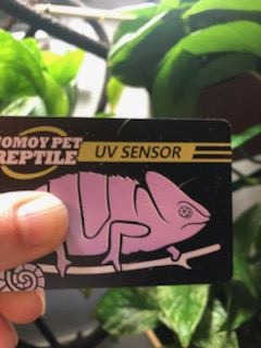 Quick Test UVB Sensor, Reptile UV Tester Heating Lamp Photochromic UVB Card Indicator, Available with UVB, Suitable for Sunglass Test & Sterilizing, Over 500 Times Reusable (2 Packs) customer photo 2