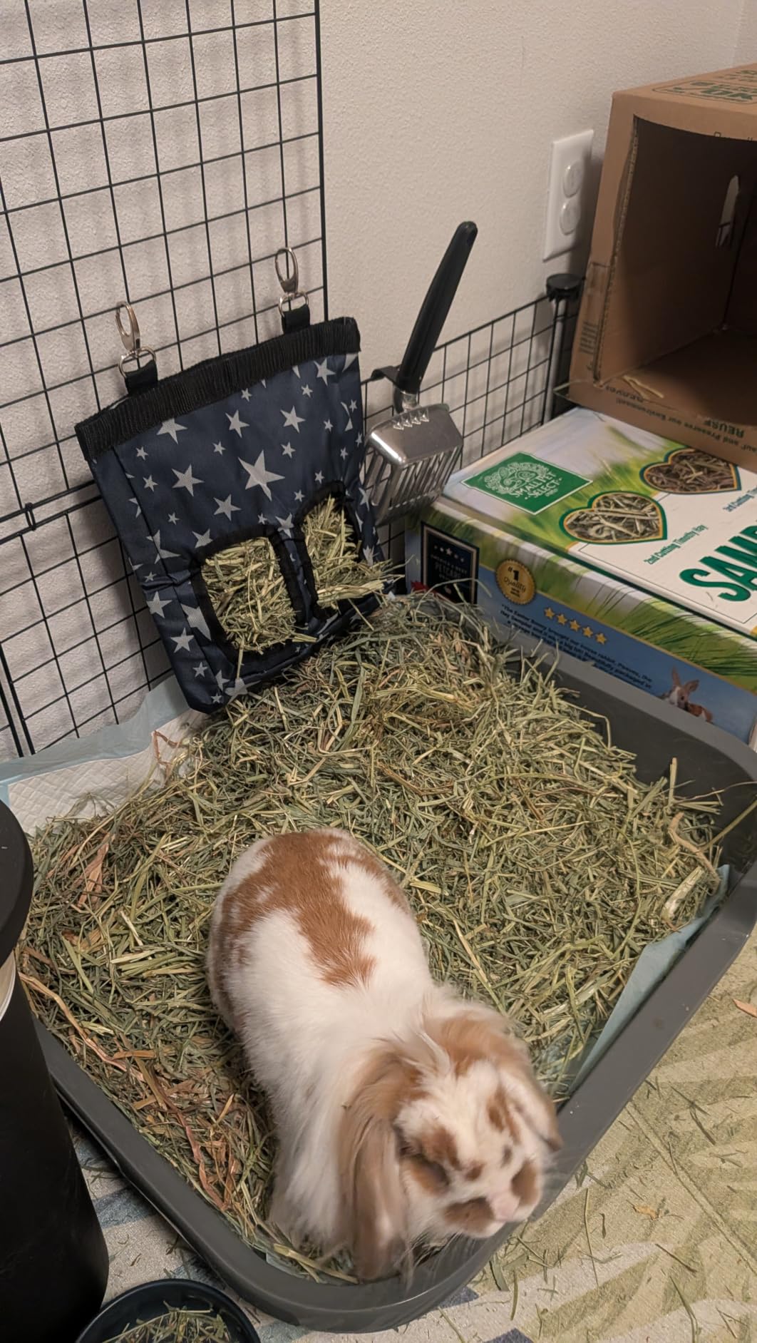 RIOUSSI Guinea Pig Hay Feeder, Hanging Rabbit Hay Feeder Bag. BlueFlower | Upgraded Double Layer Fabric | Bite Resistant | Cleaner Hay & Less Mess | Small Animal Hay Holder for Bunnies & Chinchillas customer photo 2