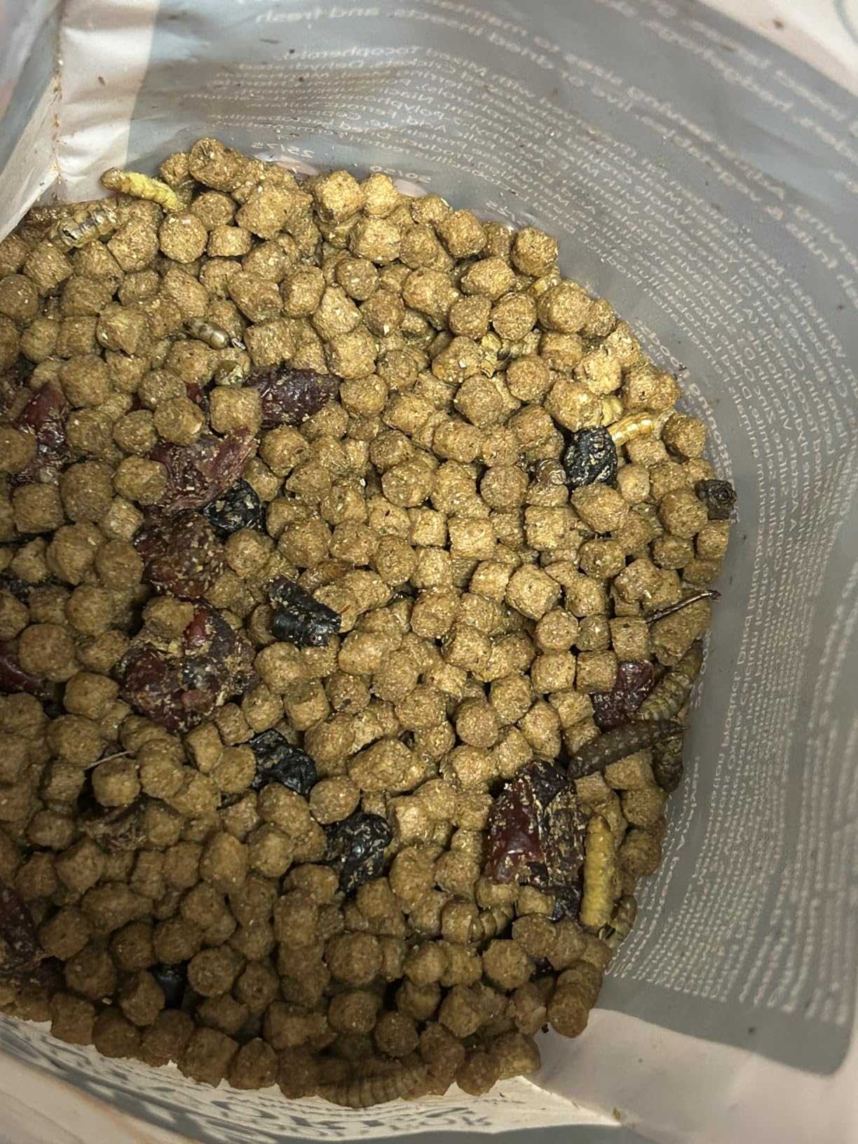 Berries & Bugs 1.5 lb - All Natural High Protein High Fiber Food for Hedgehogs, Skunks, Opossums, Sugar Gliders - Universal Insectivore Diet with Fruit, Gut-Loaded Insects, & Healthy Vitamins customer photo 1