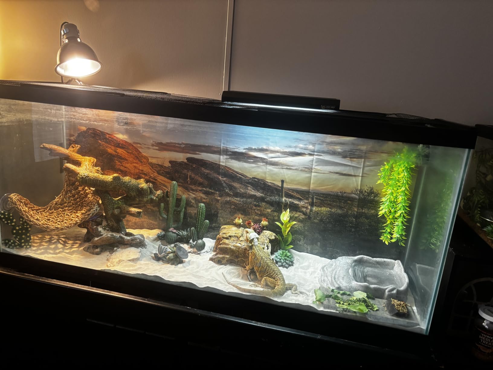 36x18 in Desert Reptile Habitat Backdrop Oasis Cactus Terrarium Background | AWERT Blue Sky Sunset Desert Landscape Durable Polyester Background customer photo 1