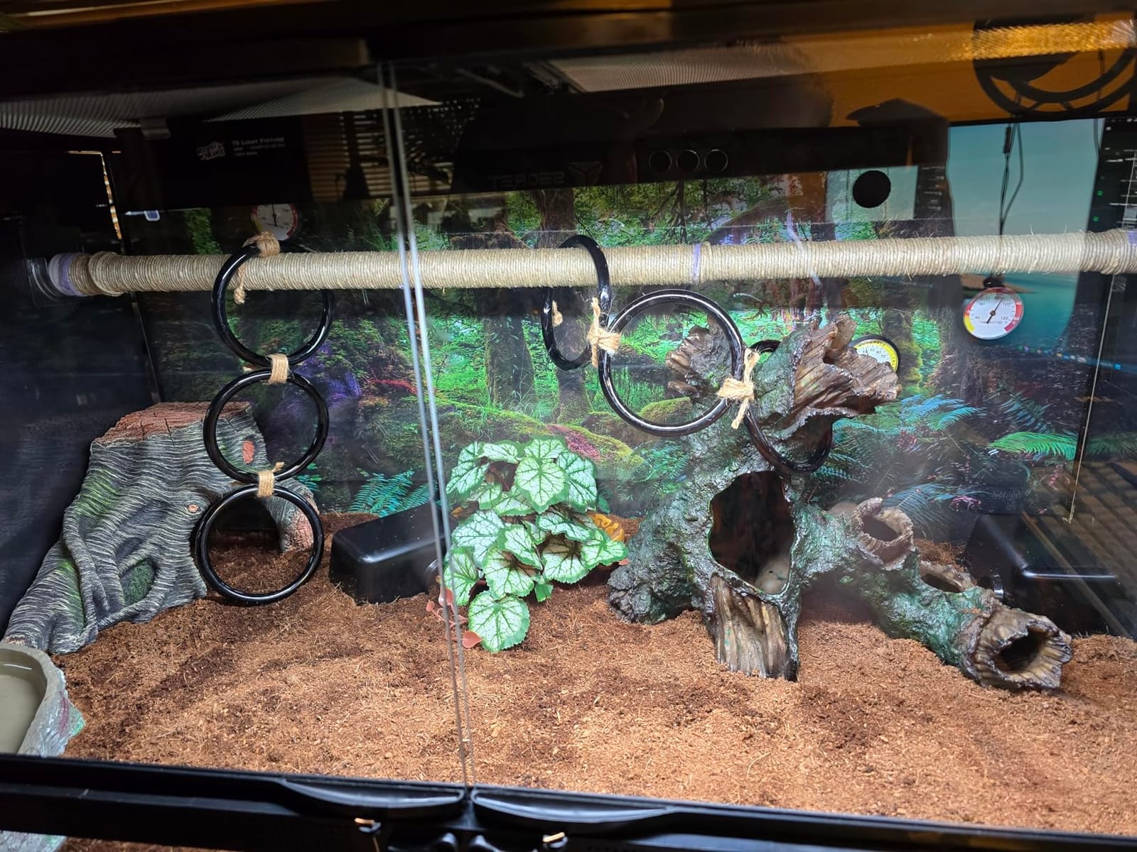 36x18 in Terrarium Backdrop Rainforest Moss Tree Reptile Habitat Background | AWERT Green Tropical Forest Polyester Aquarium Background customer photo 2