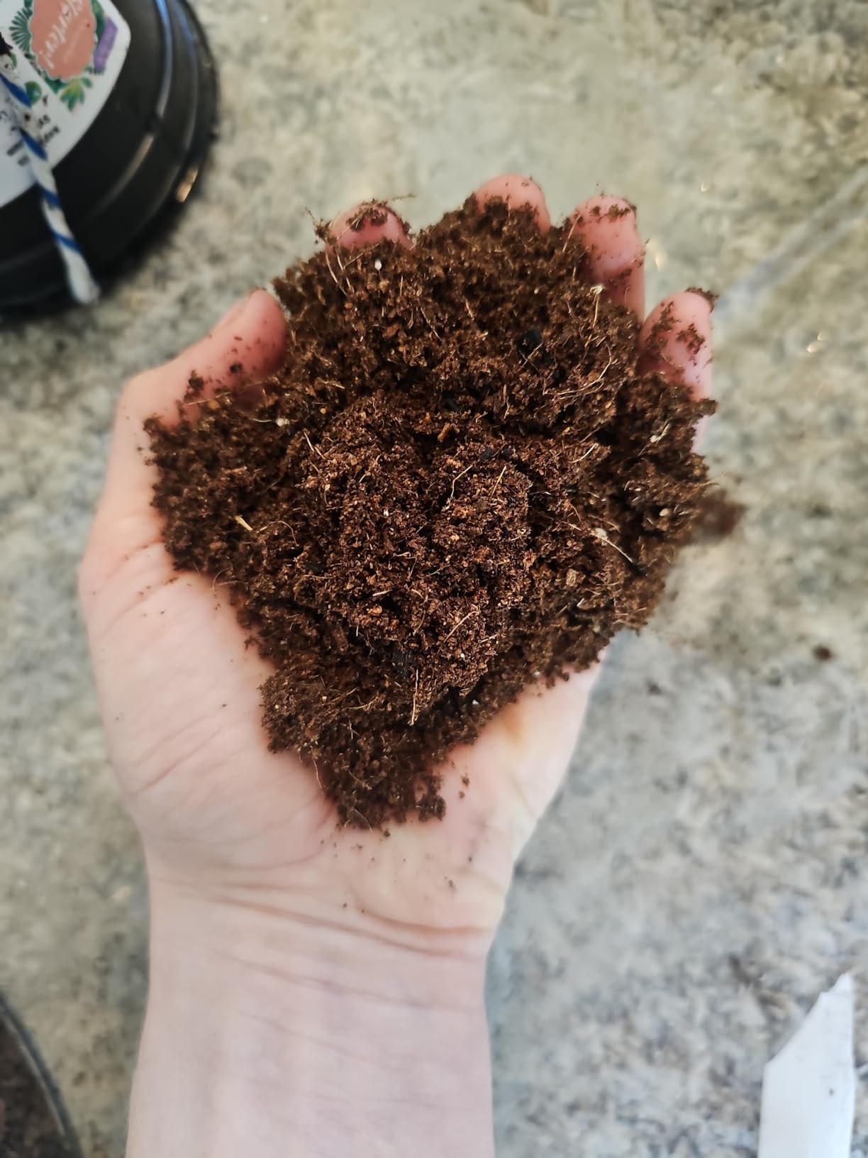 Soil Sunrise Terrarium Potting Soil Mix (4 Quarts) w/Blended Filtering Charcoal Custom Made for Terrariums customer photo 2