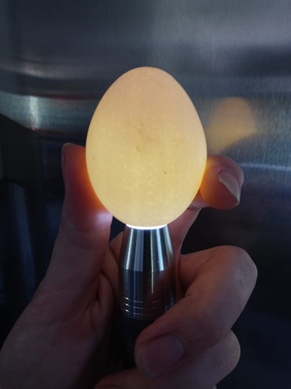 Egg Candler for Chicken Eggs, Rechargeable USB Egg Candling Light | High-Intensity Egg Candler Tester for Dark Eggs, All Chicken, Duck, and Quail customer photo 1