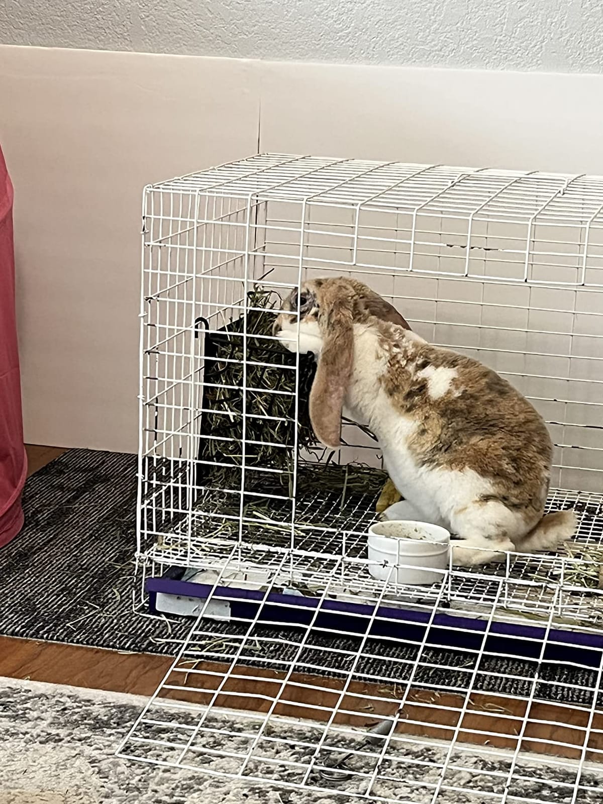 Hay Feeder for Rabbit, Guinea Pig, Bunny, Chinchilla, Heavy Duty Metal Rack Hay Holder - 7.3x4.3x6.7 inch customer photo 1