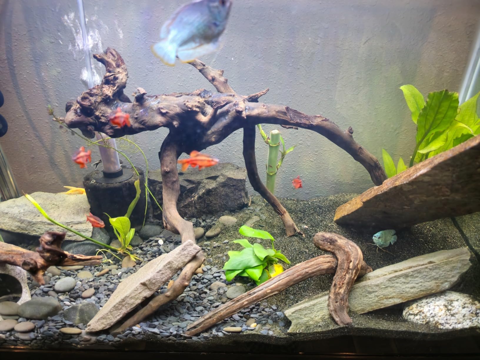 Aqua Natural Substrate, Galaxy Sand, 10lb | Aquascaping, Aquariums, Vivariums, Terrariums customer photo 1