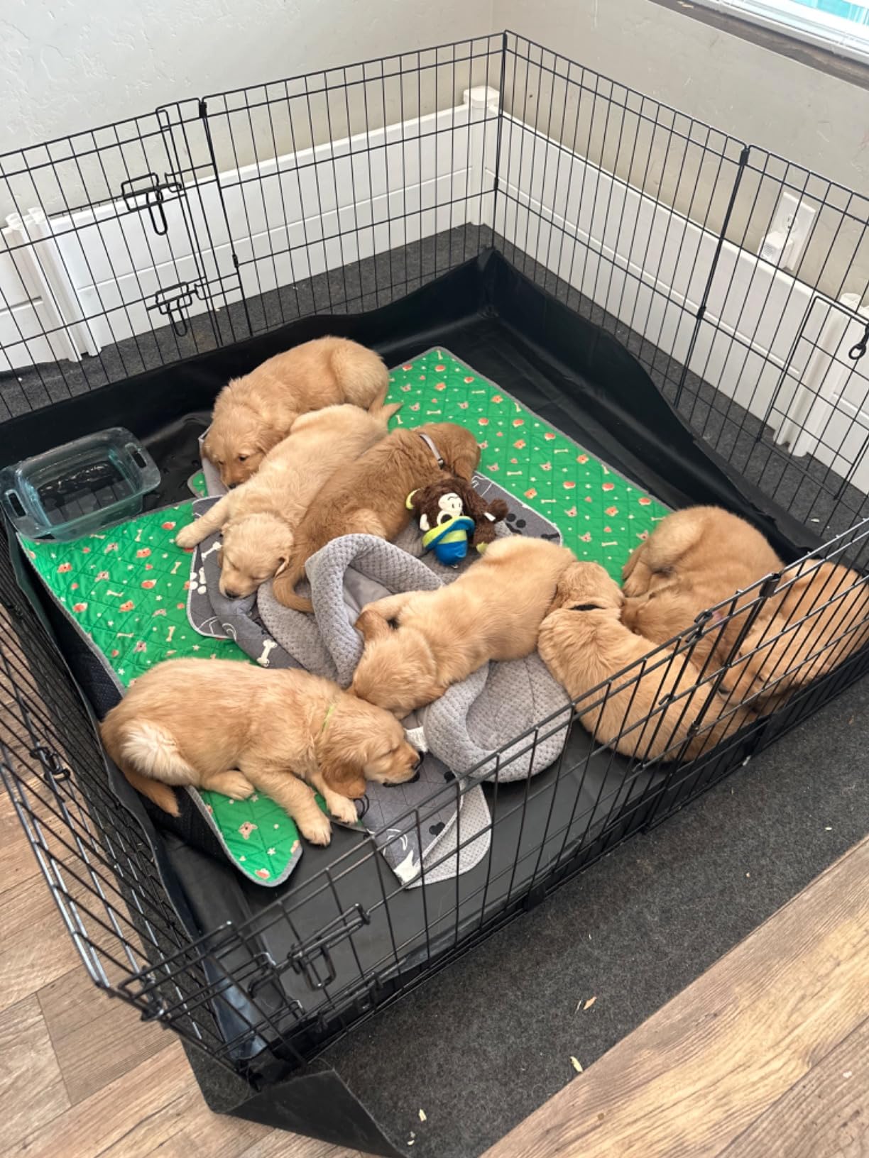 Drymate Jumbo Dog Playpen Mat (60x74), Super Absorbent, Waterproof, Slip-Resistant, Machine Washable, Reusable Puppy Pad for Training, Whelping, Housebreaking, Incontinence, Crate, Kennel (USA Made) customer photo 1