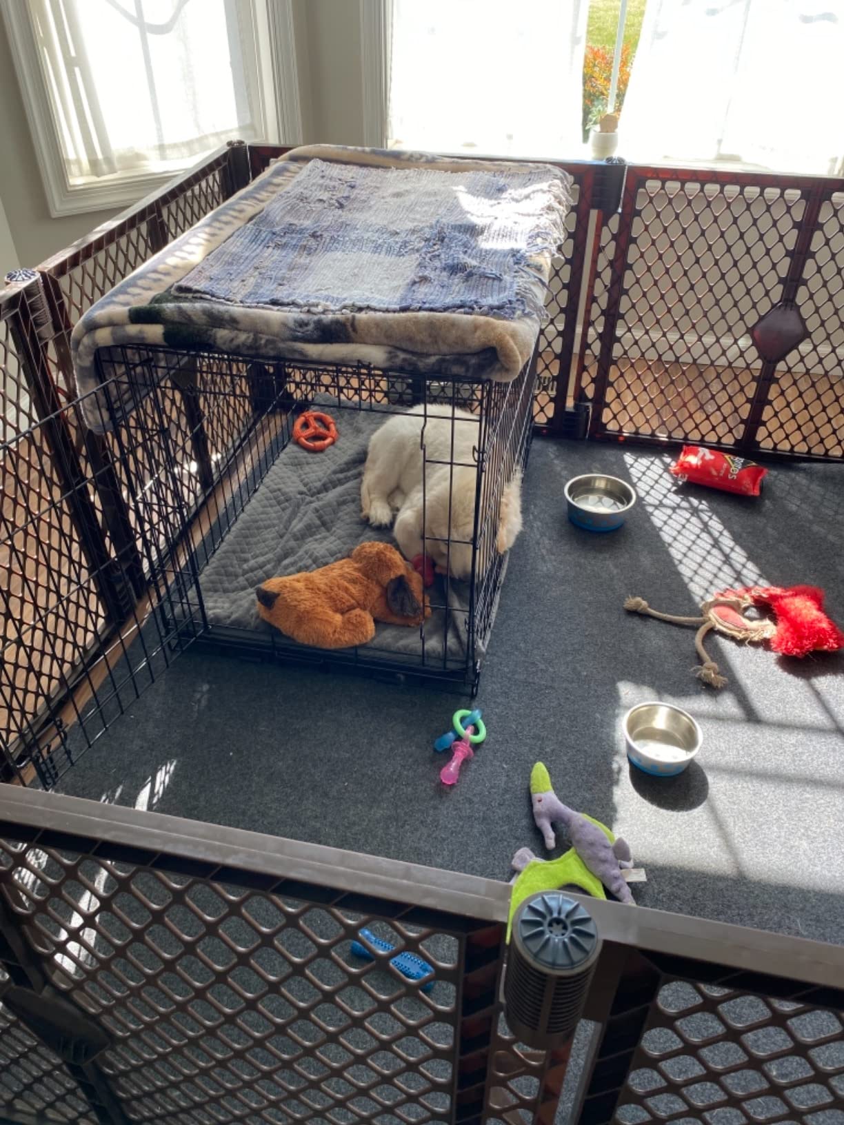 Drymate Jumbo Dog Playpen Mat (60x74), Super Absorbent, Waterproof, Slip-Resistant, Machine Washable, Reusable Puppy Pad for Training, Whelping, Housebreaking, Incontinence, Crate, Kennel (USA Made) customer photo 2