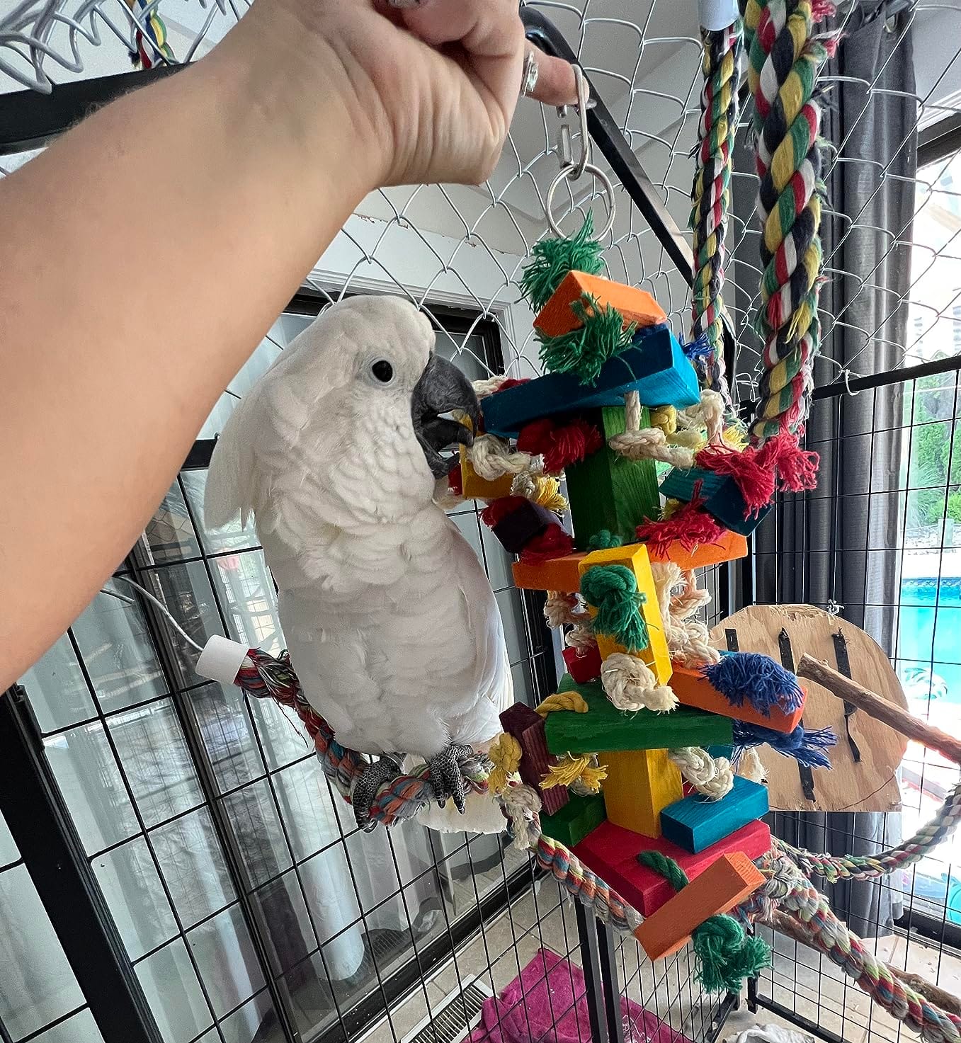 RUBY.Q 20in Large Parrot Toy, Multicolored Natural Wooden Bird Chewing Toys for Amazon Parrots Large Macaws, African Grey customer photo 1