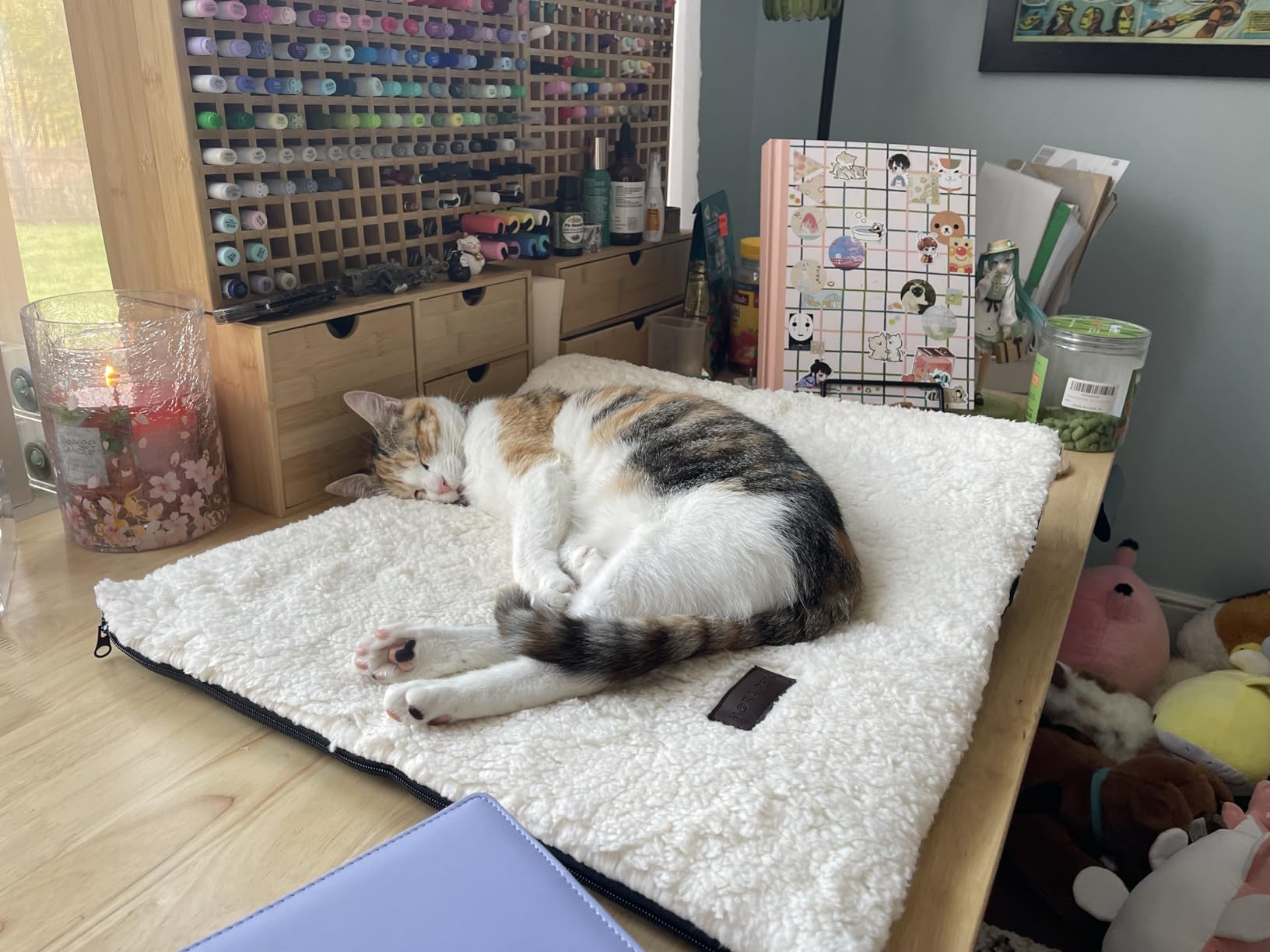 Mora Pets Self Warming Cat Bed Self Heating Cat Dog Mat Pet Pad Extra Warm customer photo 1