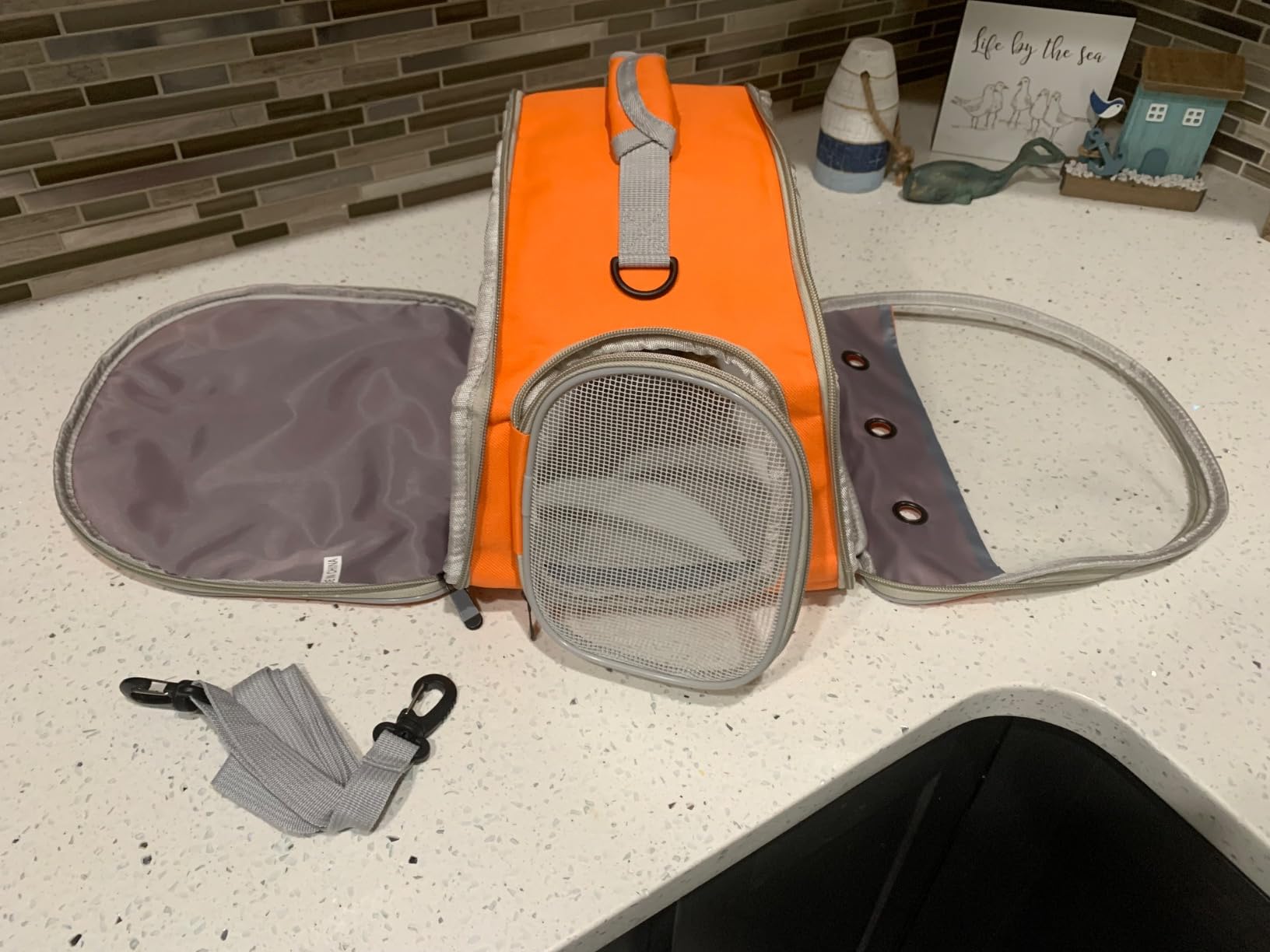 Guinea Pig Carrier, Small Animal Bird Rabbit Turtle Carrier Bag, African Hedgehog Portable Travel Carrier Outdoor Hangbag, Bird Rabbit Guinea Pig Squirrel Carrier customer photo 2