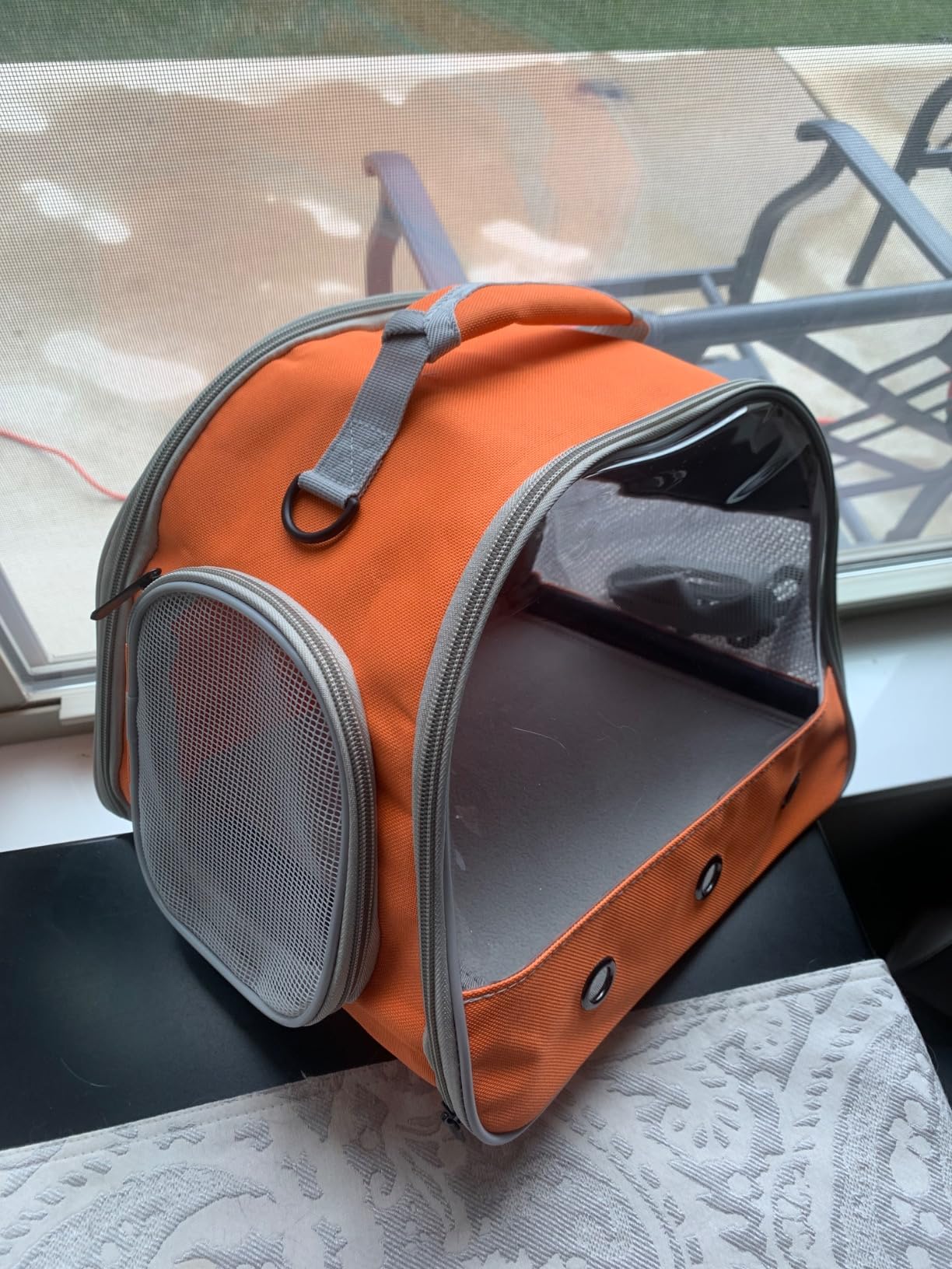 Guinea Pig Carrier Backpack, Clear Bubble Window Backpack for Guinea Pig, Bunny Rat Bird (Black, Carrier) customer photo 2